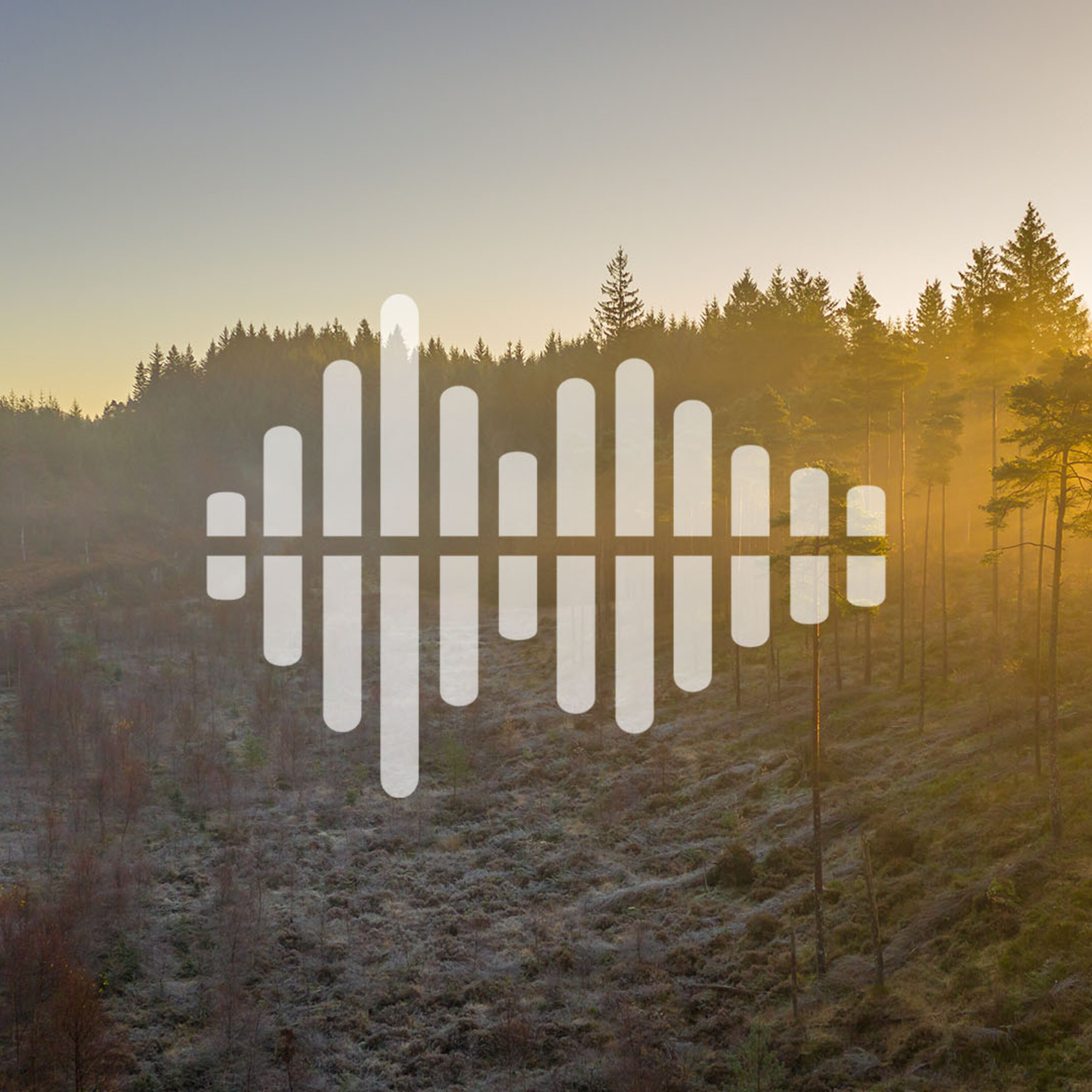 Making antibodies to treat coronavirus, and why planting trees won’t save the planet