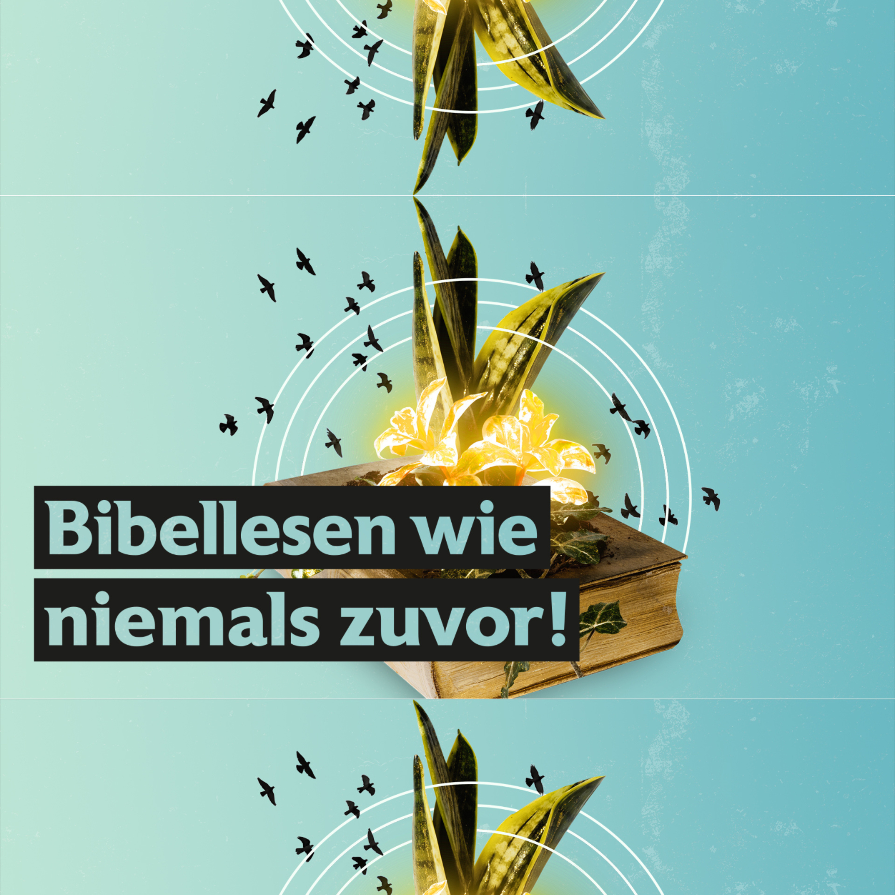 Bibellesen wie nie zuvor - Teil 2
