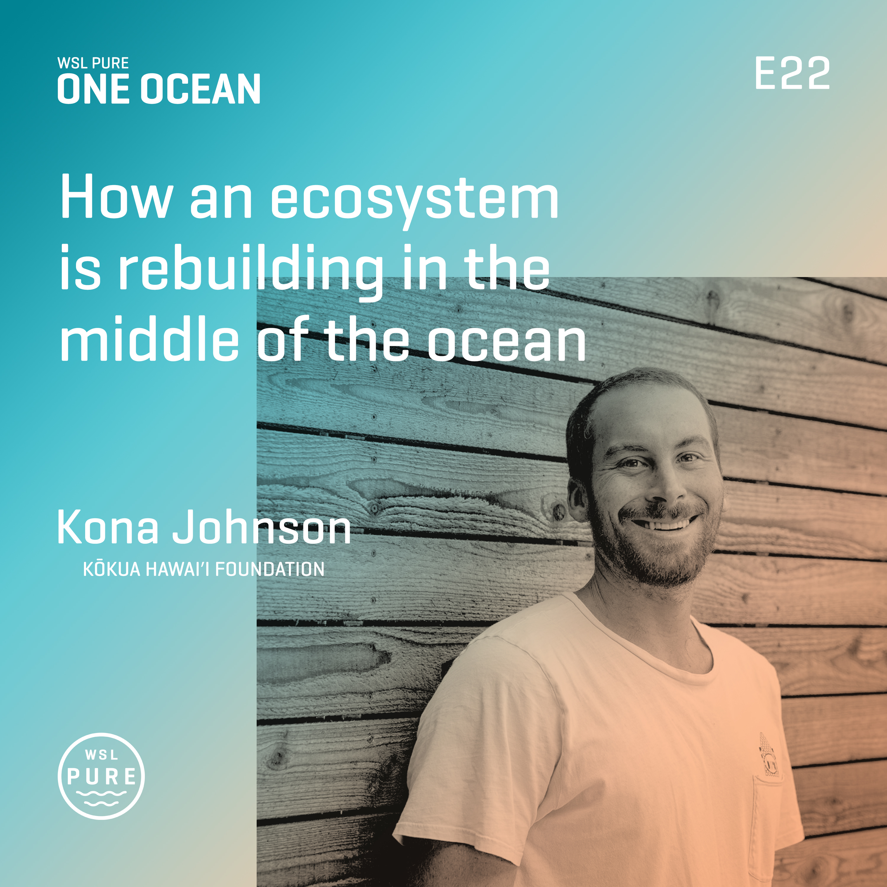 How an ecosystem is rebuilding in the middle of the ocean episode artwork