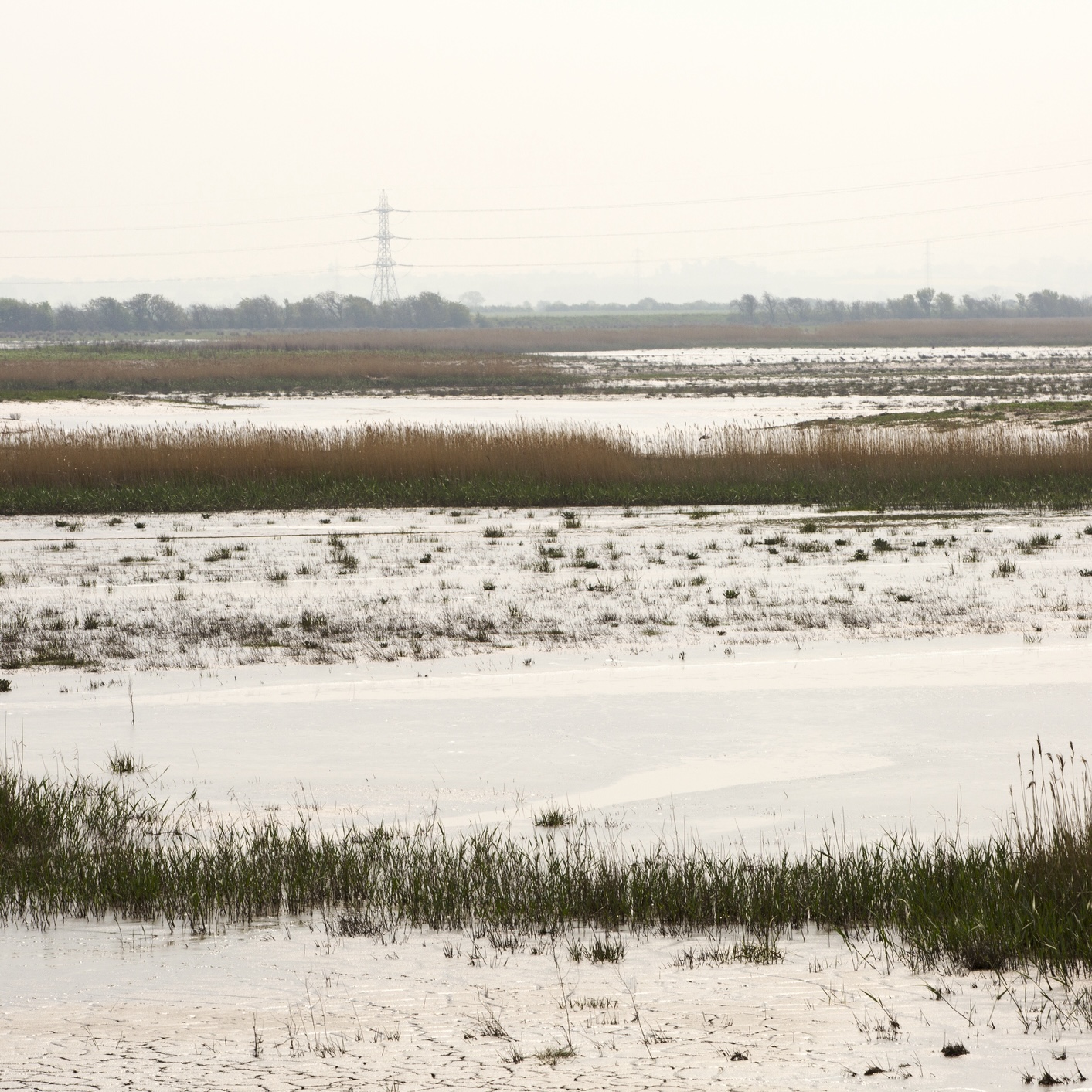 227: Tales of birding in wild places with naturalist and author Stephen Moss