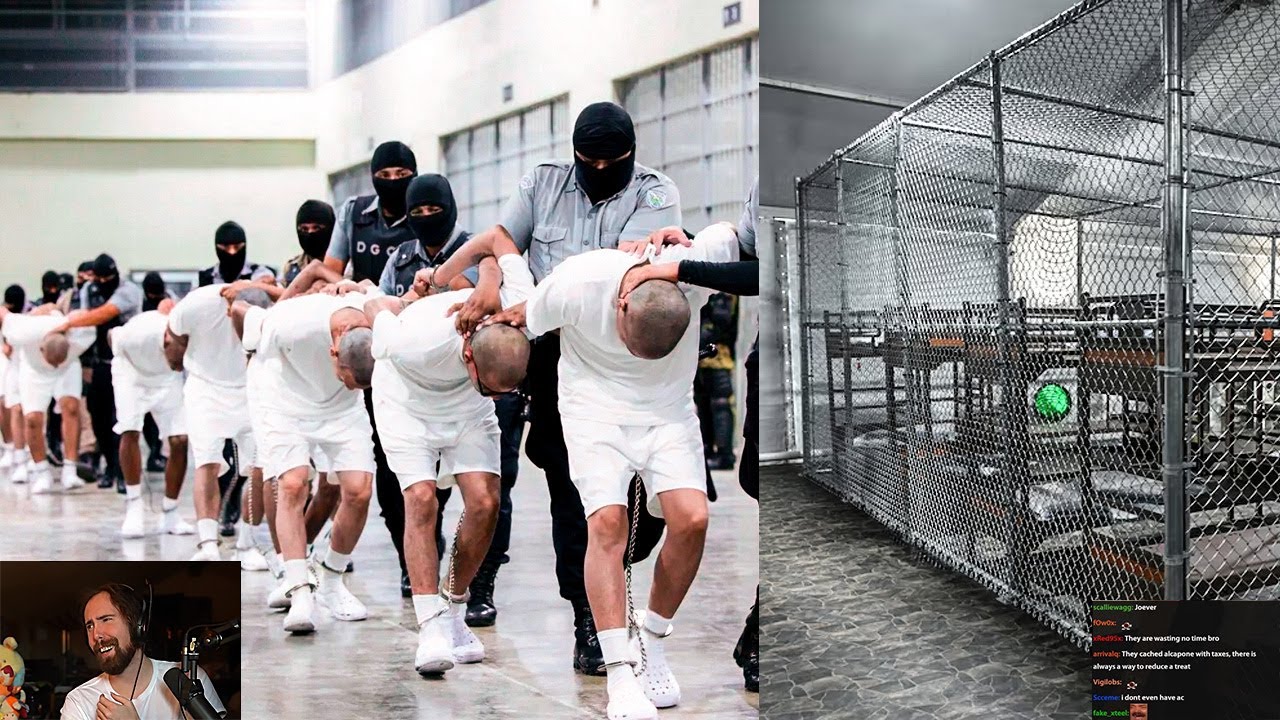 Criminal migrants arrive at Alligator Alcatraz | Asmongold TV