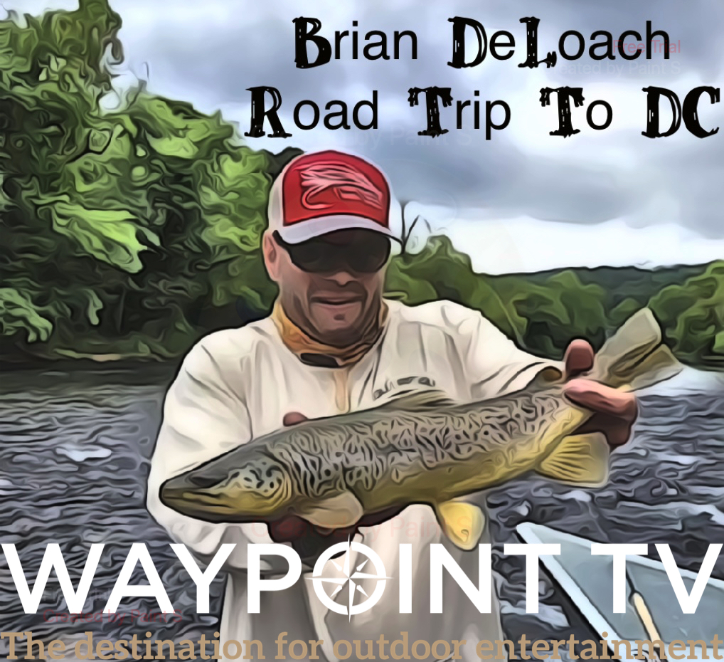 Fly Fishing Consultant Podcast