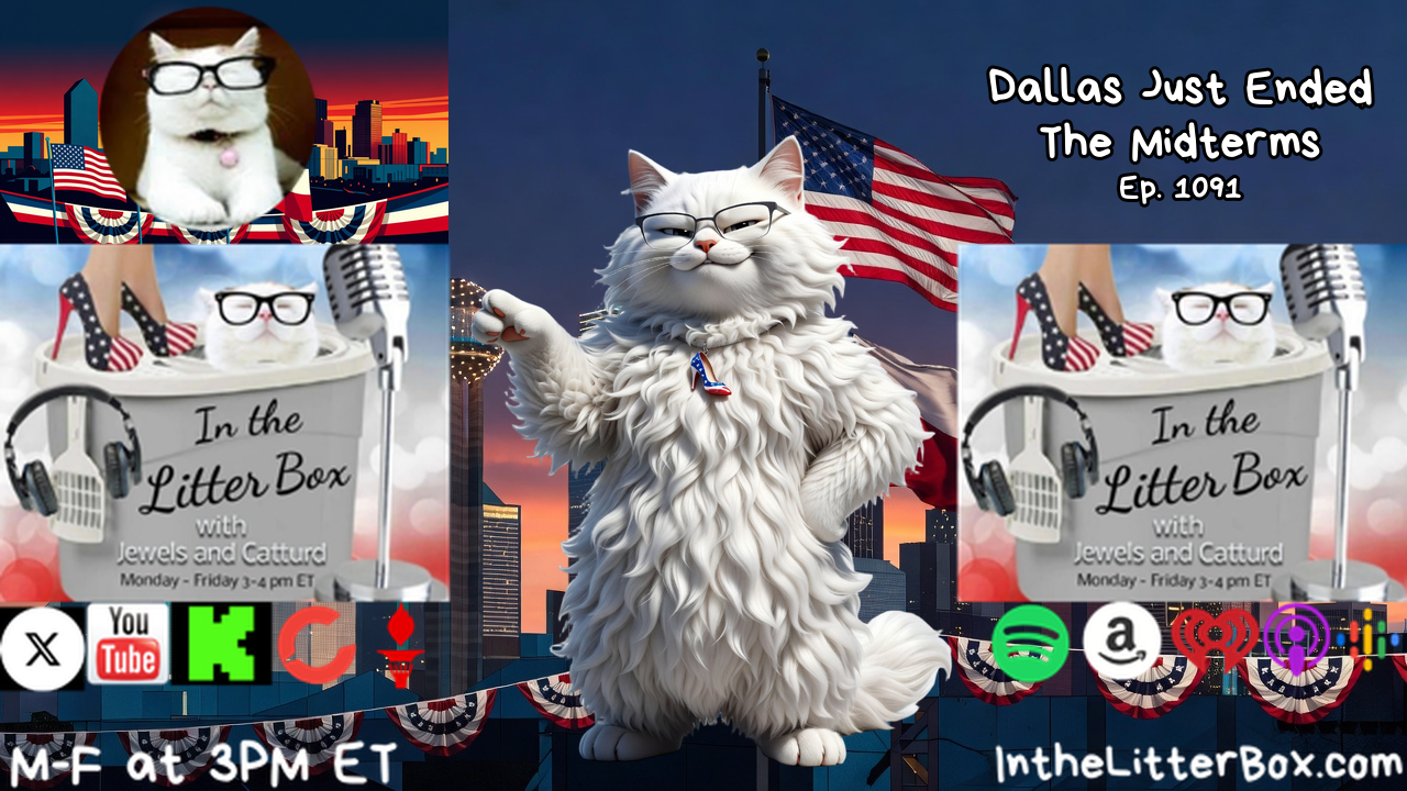 Dallas Just Ended The Midterms | In the Litter Box w/ Jewels & Catturd – Ep. 1091 – 9/10/2026