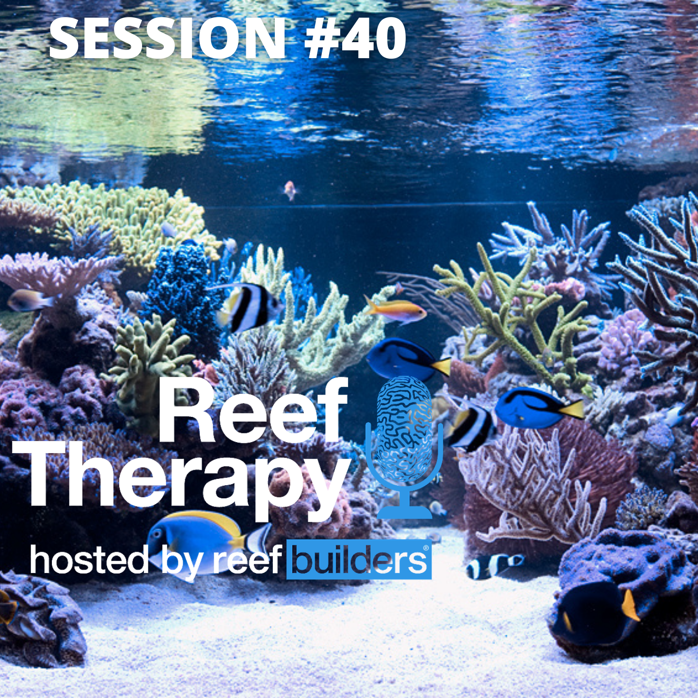 Reef Therapy by Reef Builders