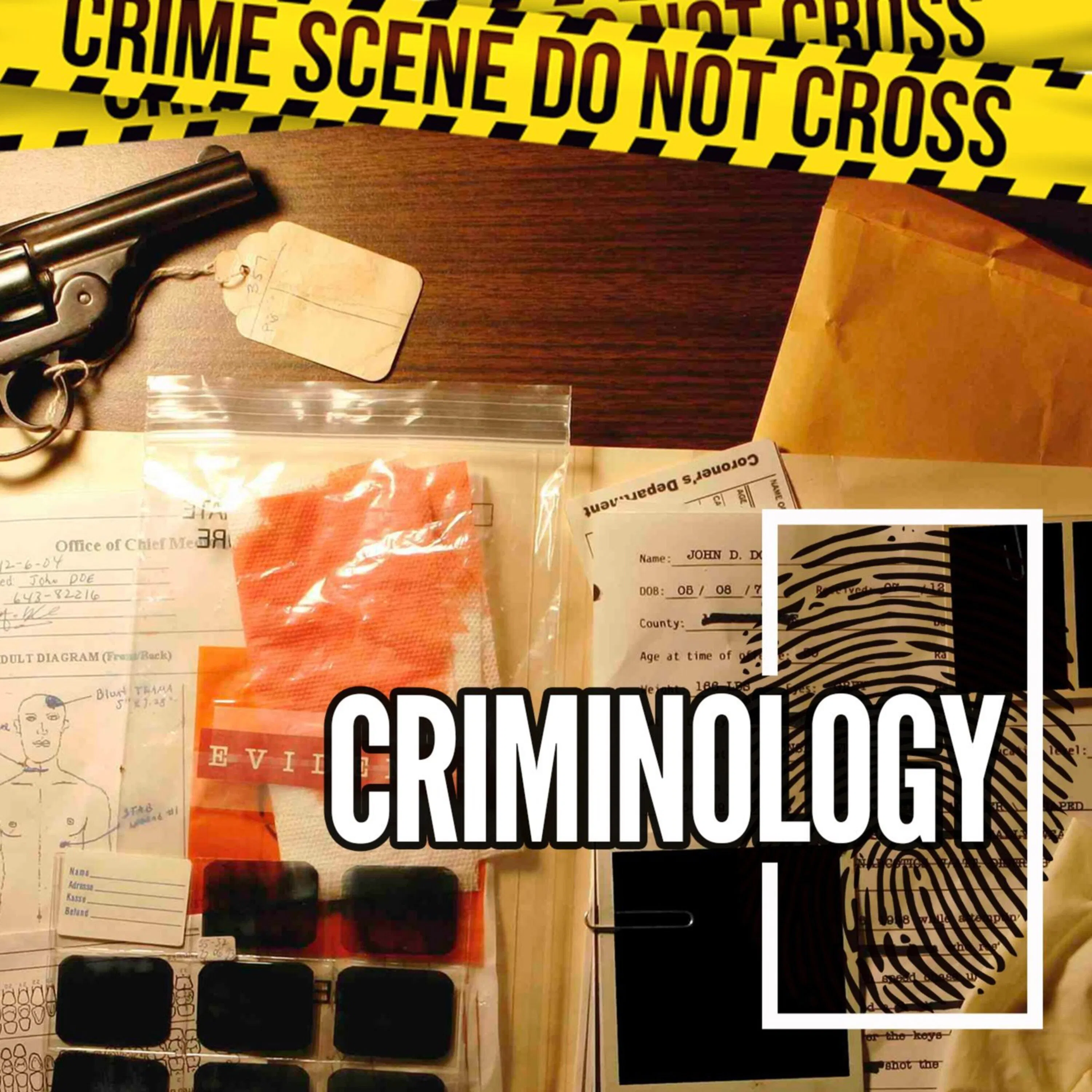 Criminology cover