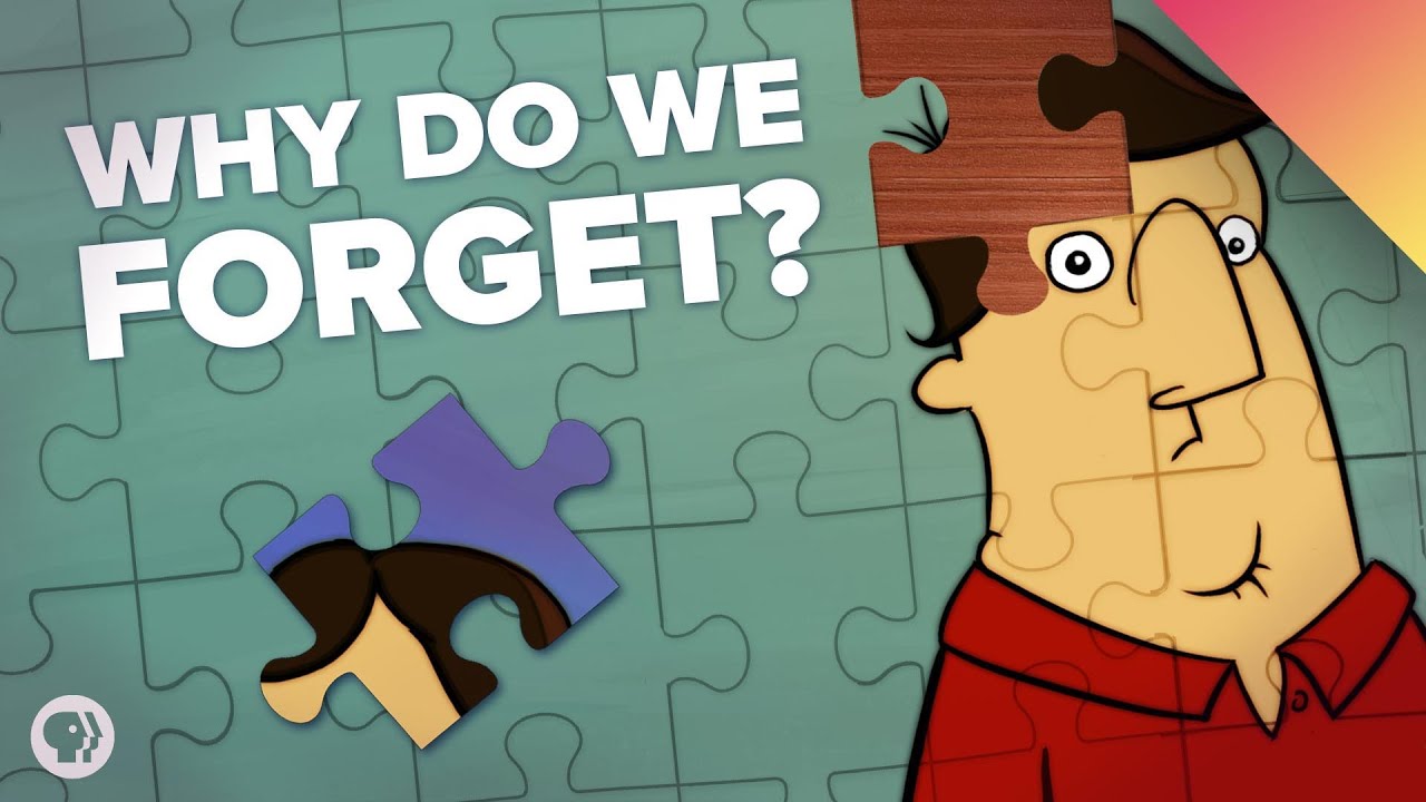 How Your Memory Works episode artwork