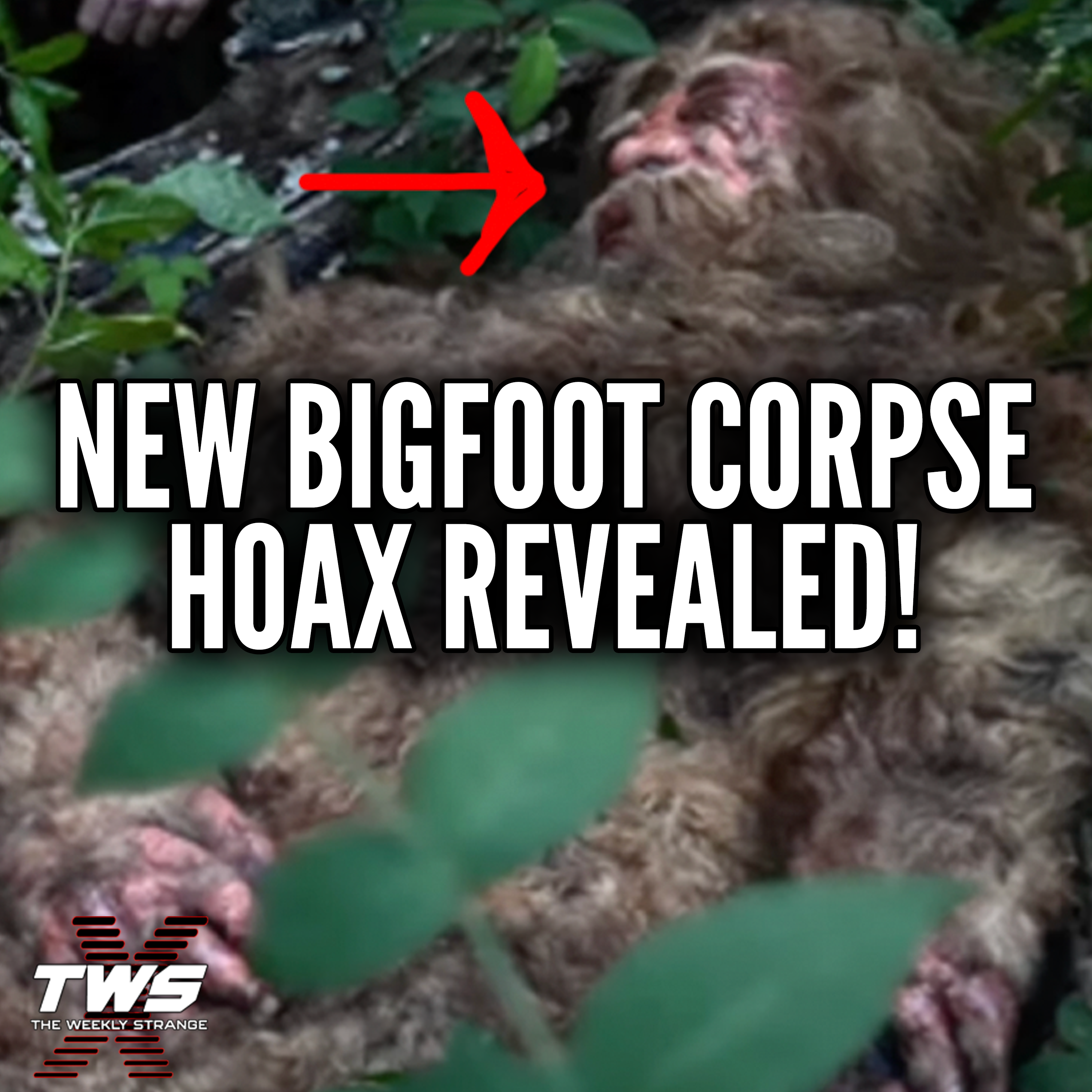 New Bigfoot Corpse Hoax August 2025 Revealed! THE WEEKLY STRANGE Episode 32 episode artwork