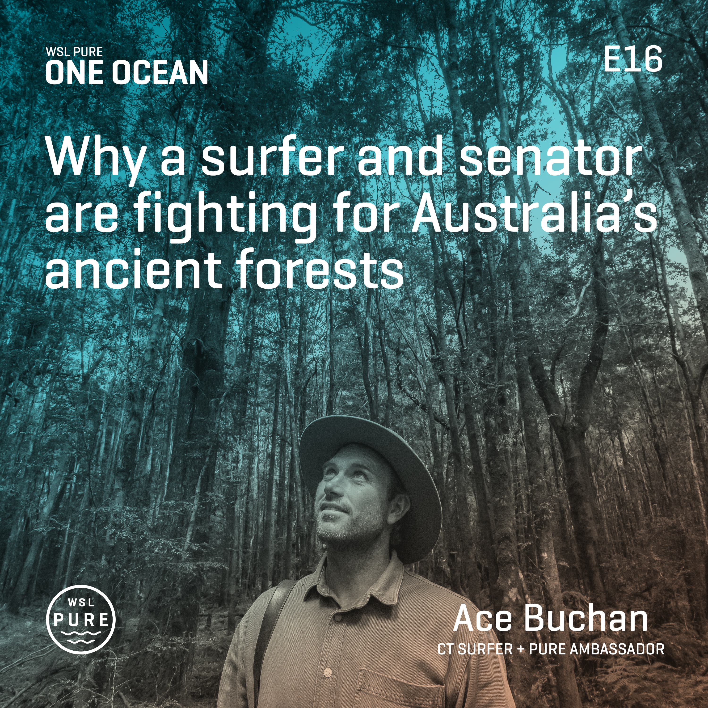 Why a surfer and senator are fighting for Australia's ancient forests episode artwork