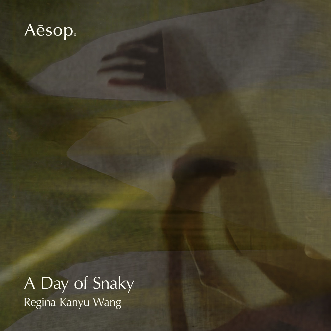 ‘A Day of Snaky’ by Regina Kanyu Wang