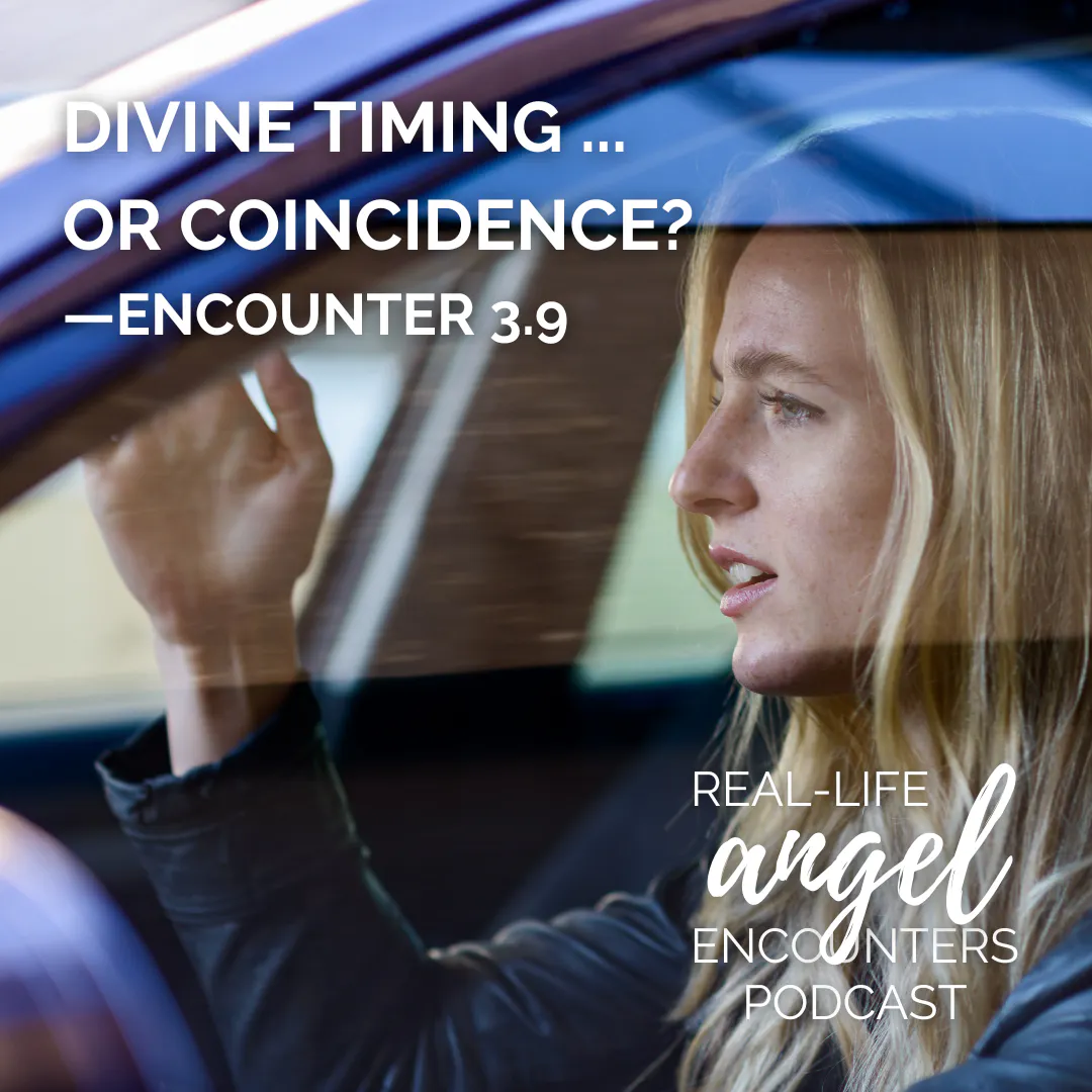3.9 Divine Timing or Coincidence? episode artwork