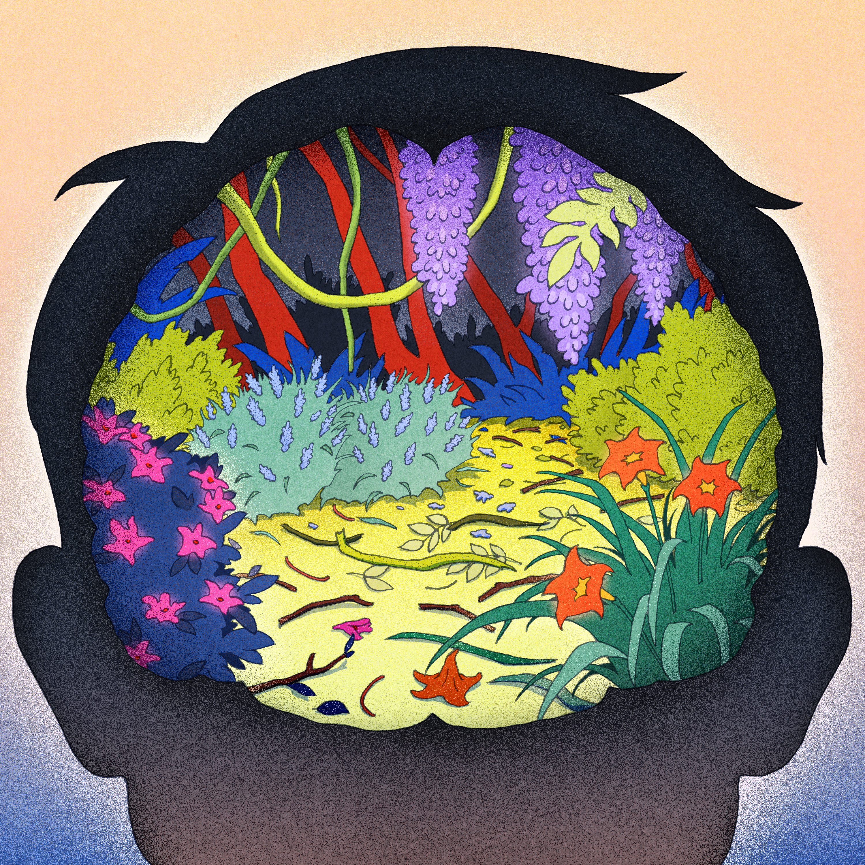 Diary of a teenage brain, part 2