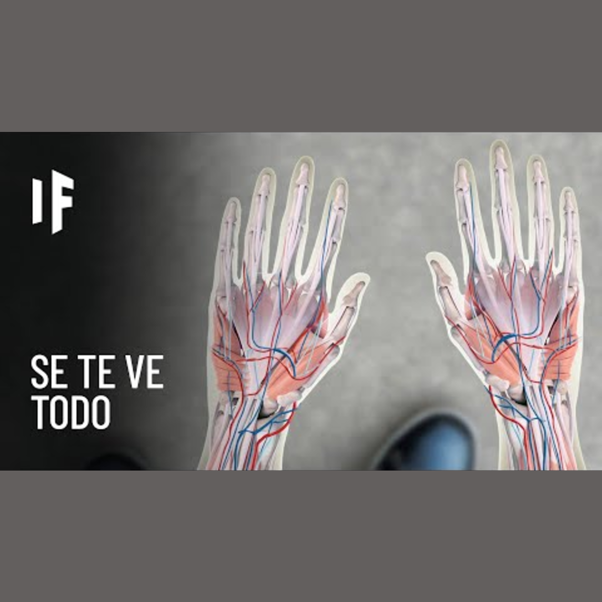 ¿Qué pasaría si tuviéramos la piel transparente? episode artwork