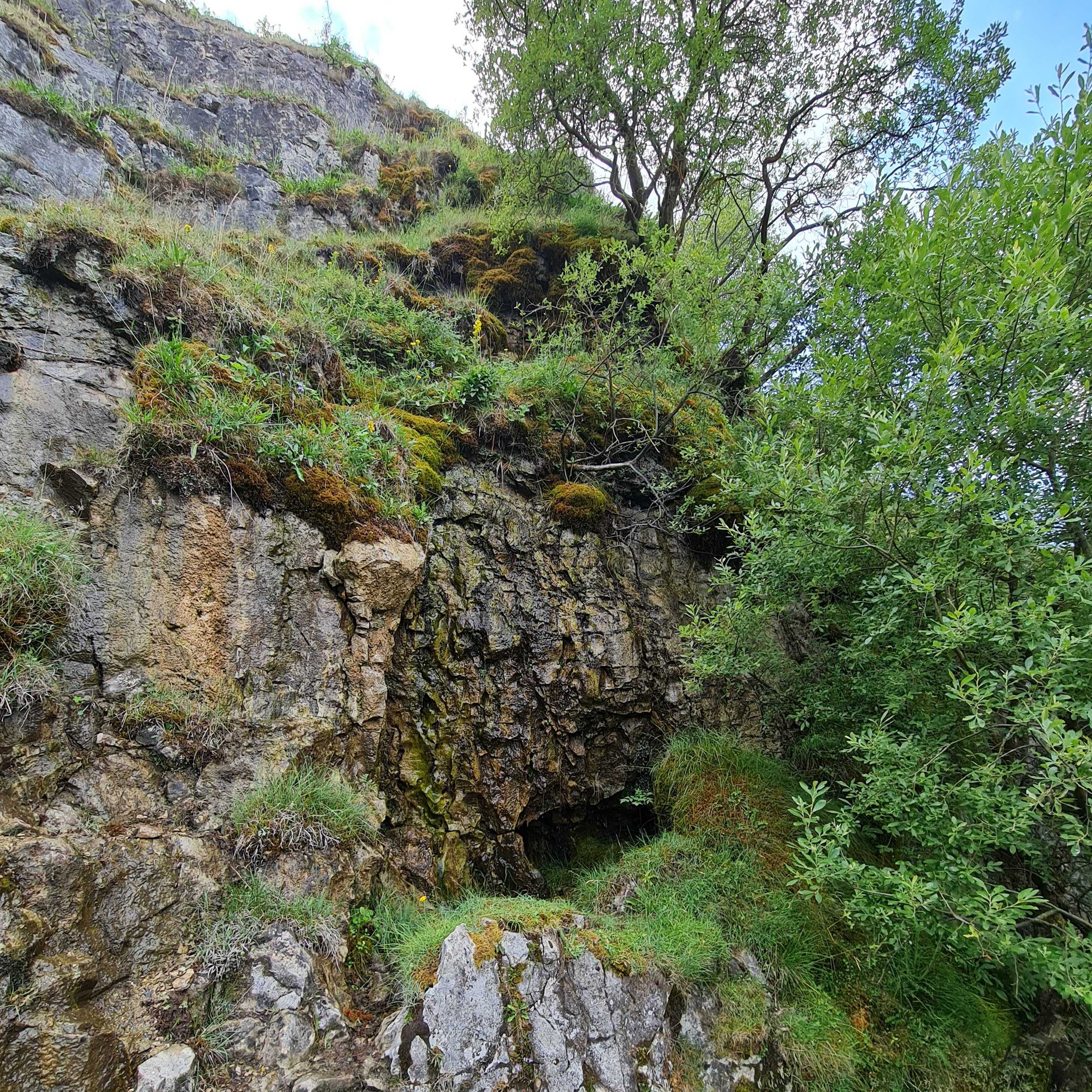 Sound Escape 284. Hear the beautiful music of a mountain spring in a dry summer landscape