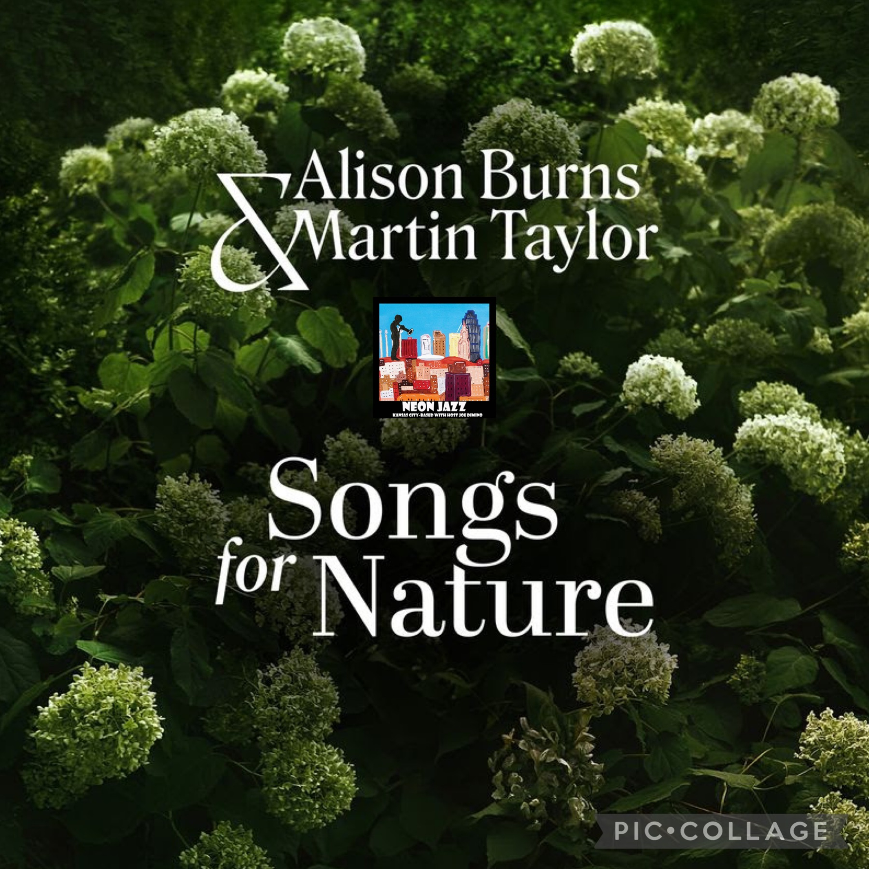 Scottish-Canadian Jazz Singer Alison Burns and British Guitarist Martin Taylor episode artwork
