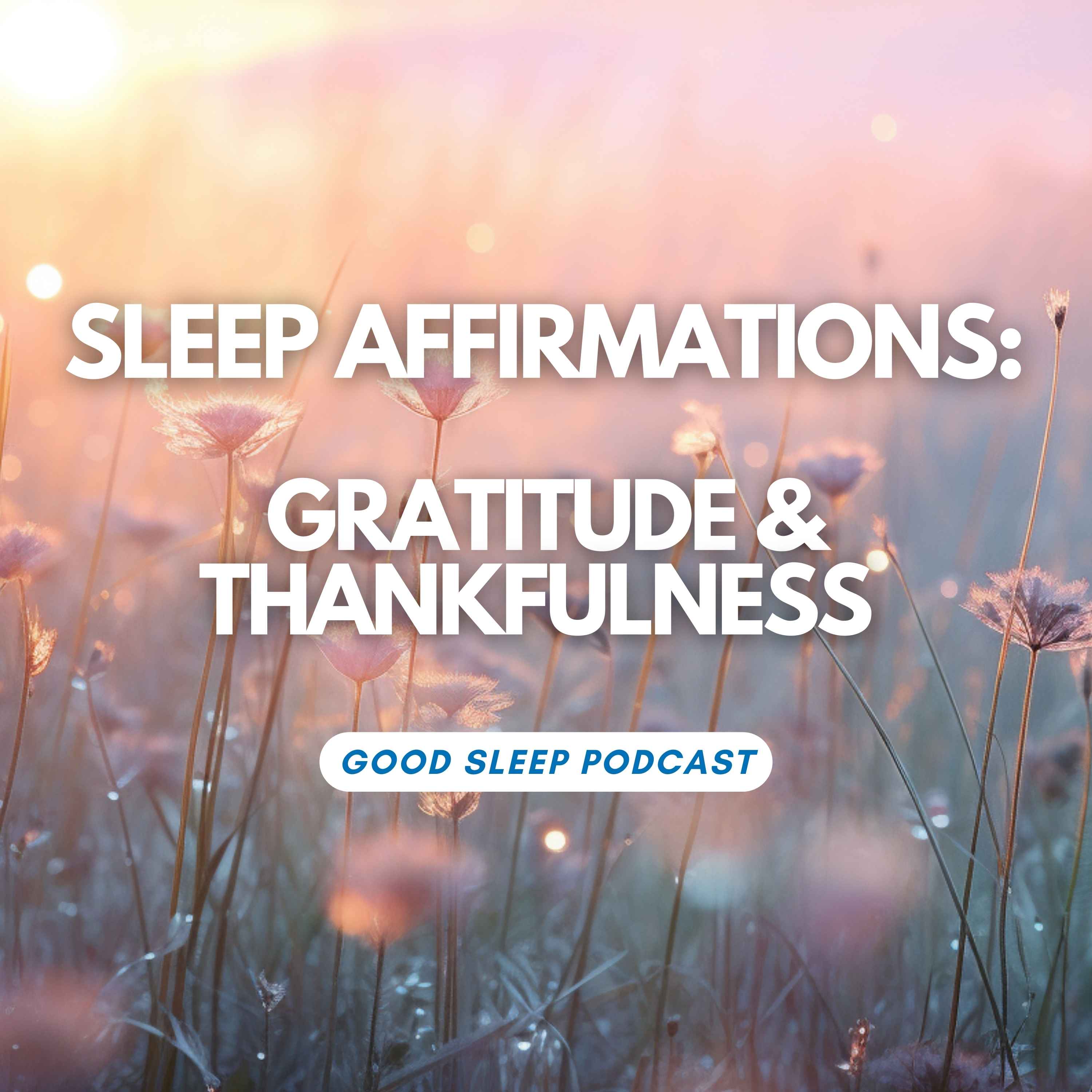 Gratitude Practice Sleep Affirmations: A Thankful Life