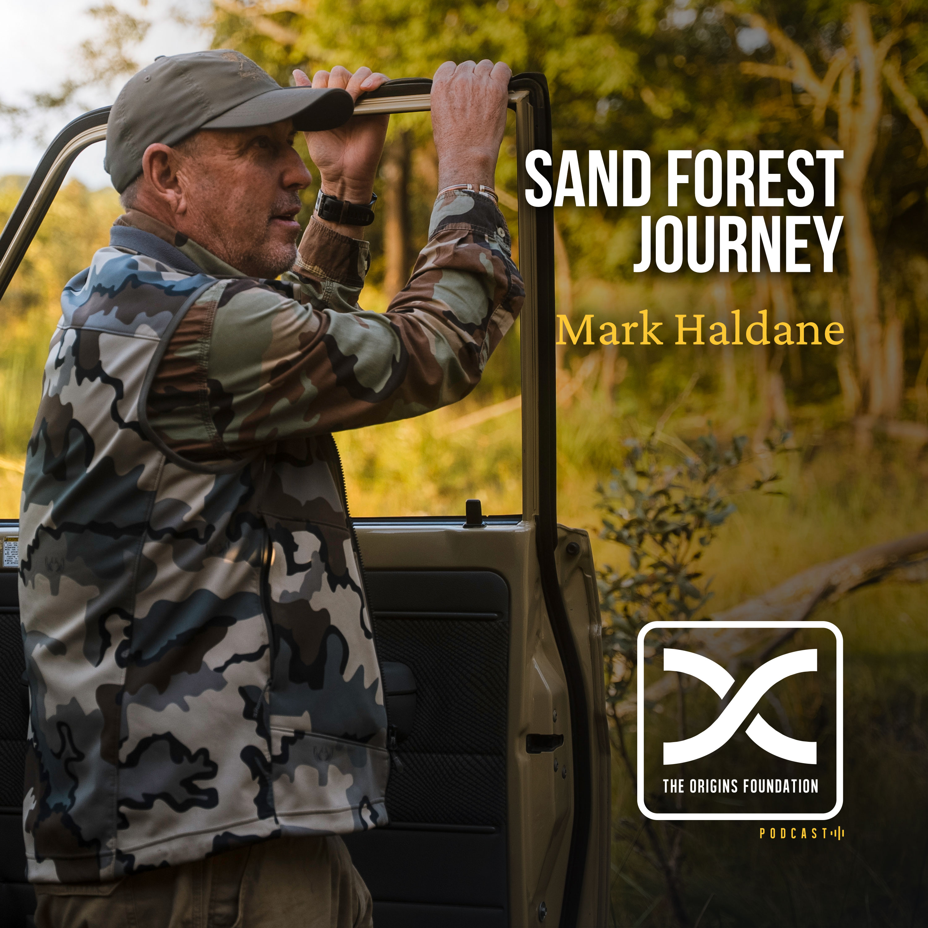 Field Experiences 01 - Sand Forest Journey | Mark Haldane