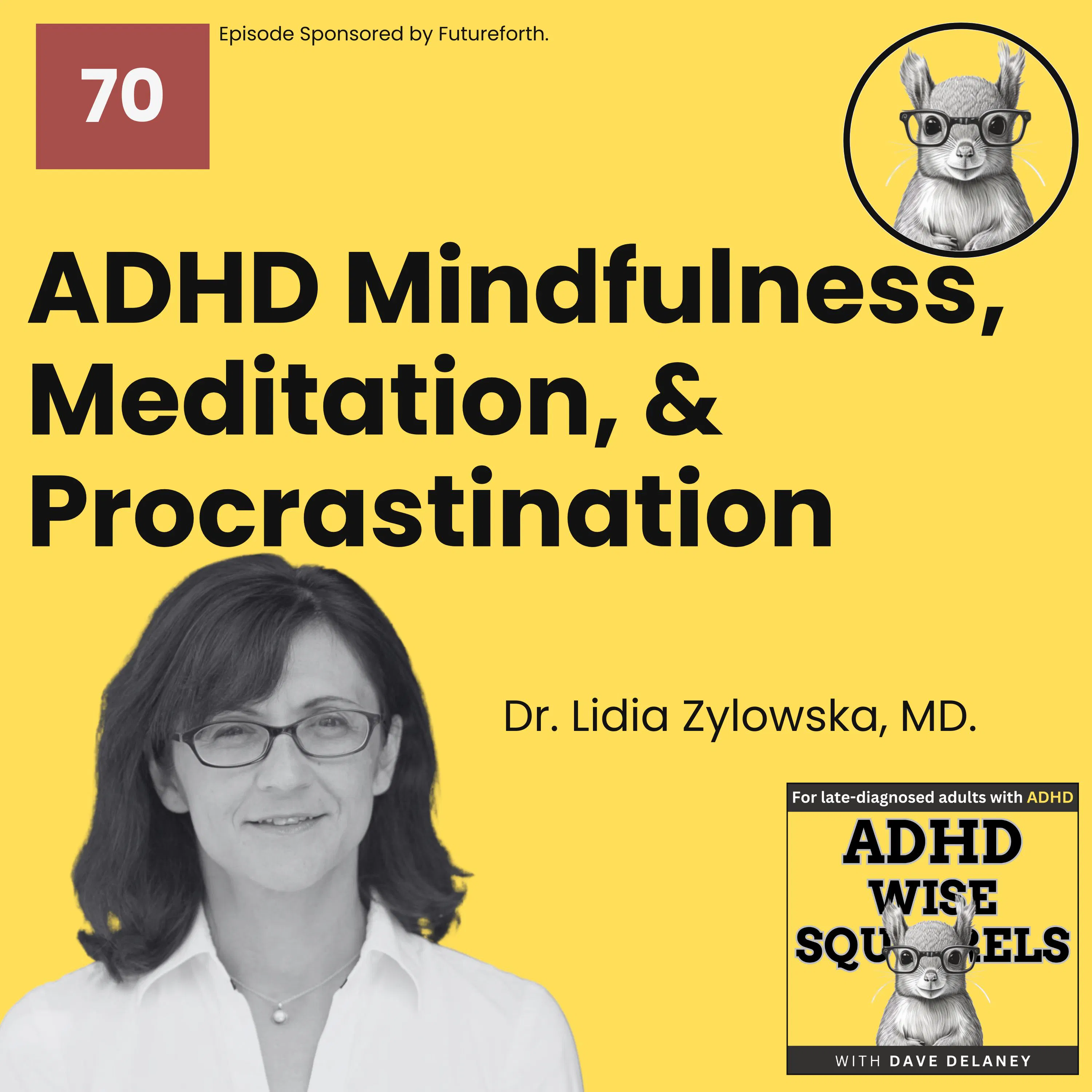 WS70 Mindfulness, Meditation, and Procrastination with Dr. Lidia Zylowska, MD. (Replay) episode artwork