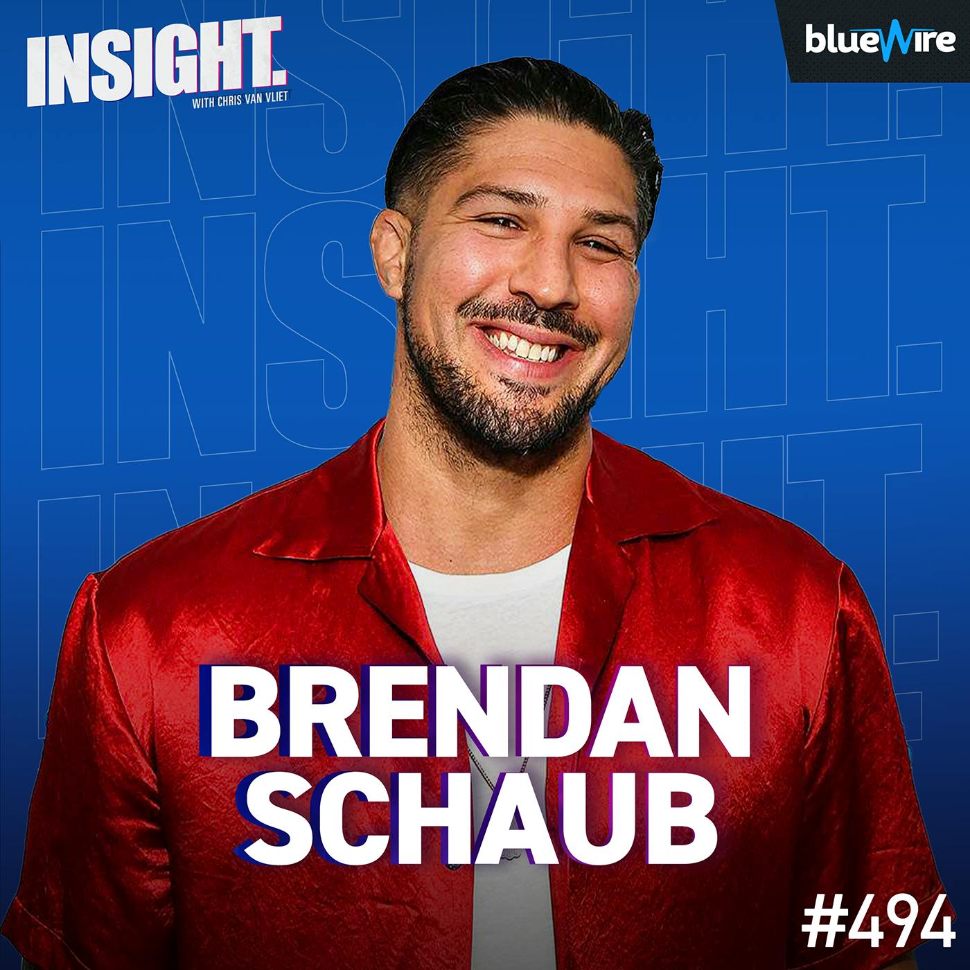 Brendan Schaub On Almost Fighting Brock Lesnar, Comedy, Joe Rogan, UFC Brendan Schaub On Almost Fighting Brock Lesnar, Comedy, Joe Rogan, UFC