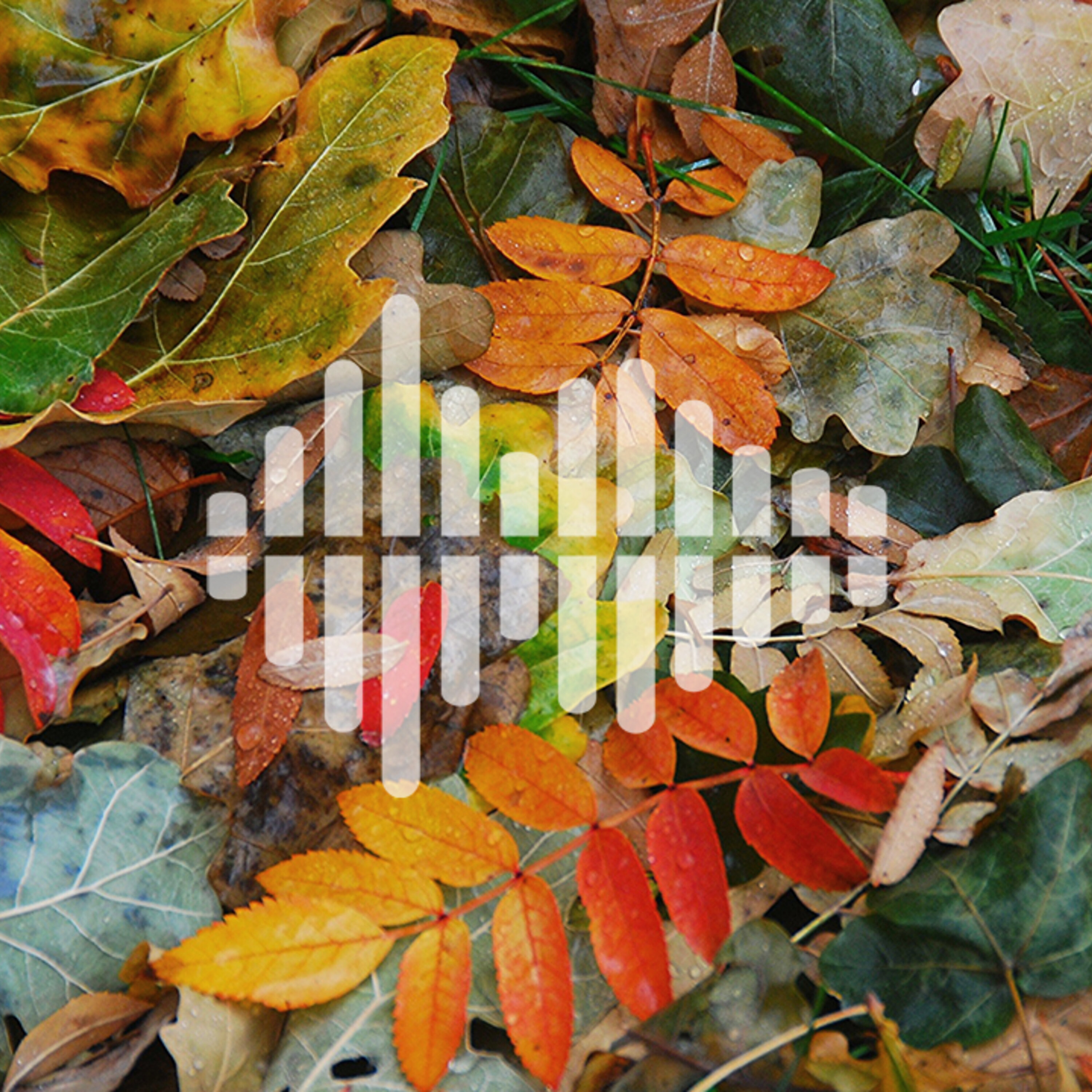 Why some diseases come and go with the seasons, and how to develop smarter, safer chemicals