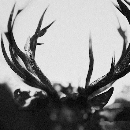 Ihsahn "Ihsahn (Studio Version)" review by Nyk Edinger episode artwork