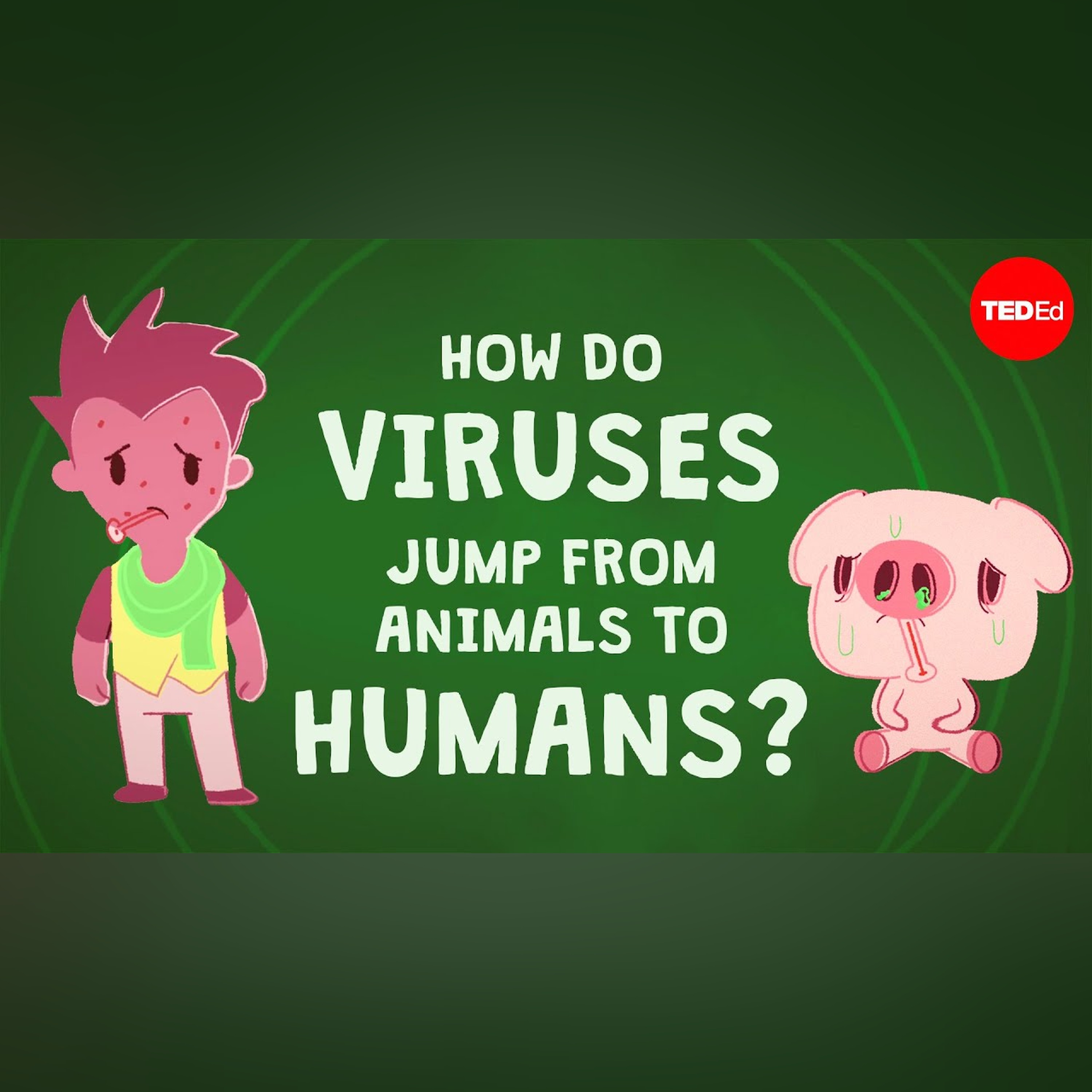 How do viruses jump from animals to humans? - Ben Longdon episode artwork