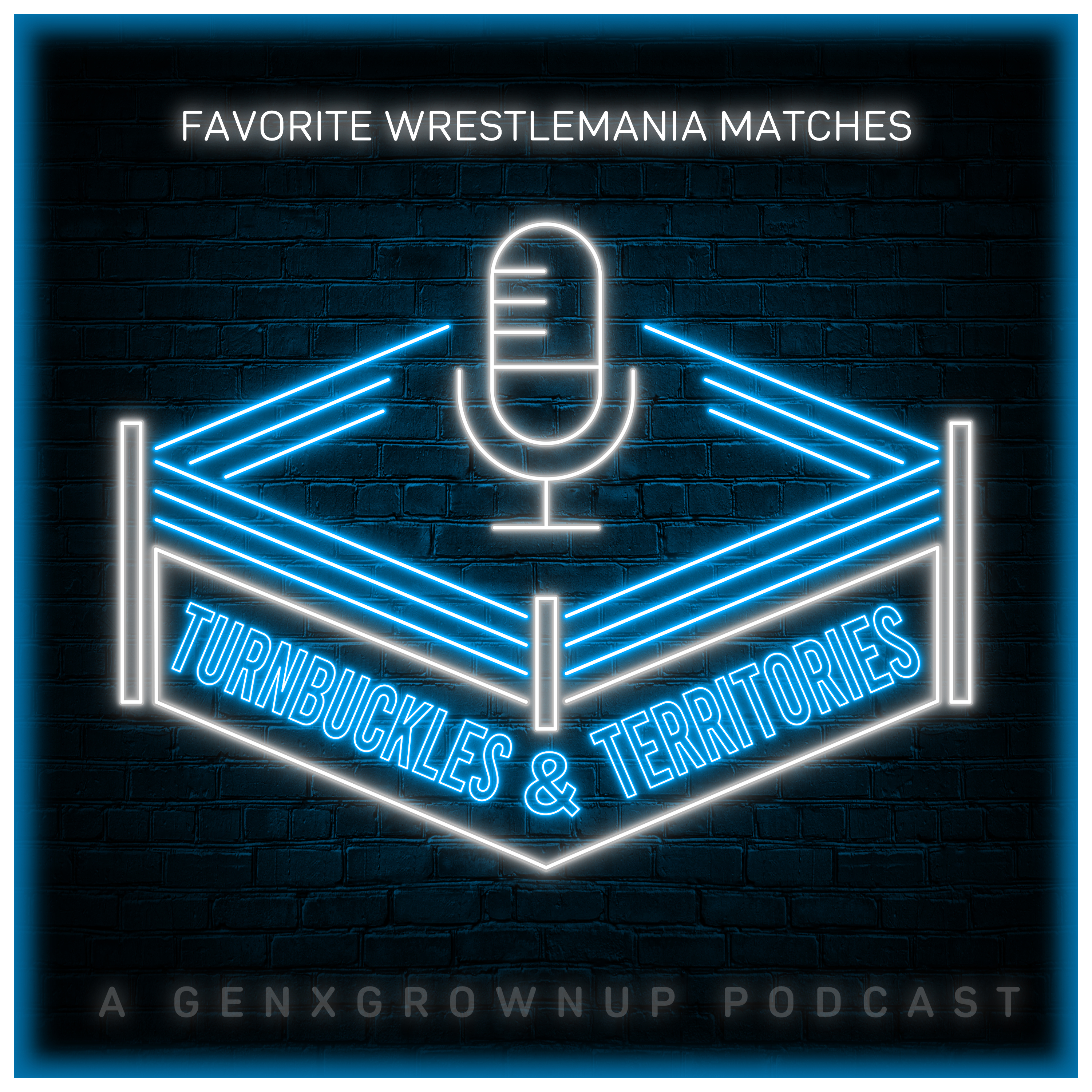 Favorite Wrestlemania Matches episode artwork