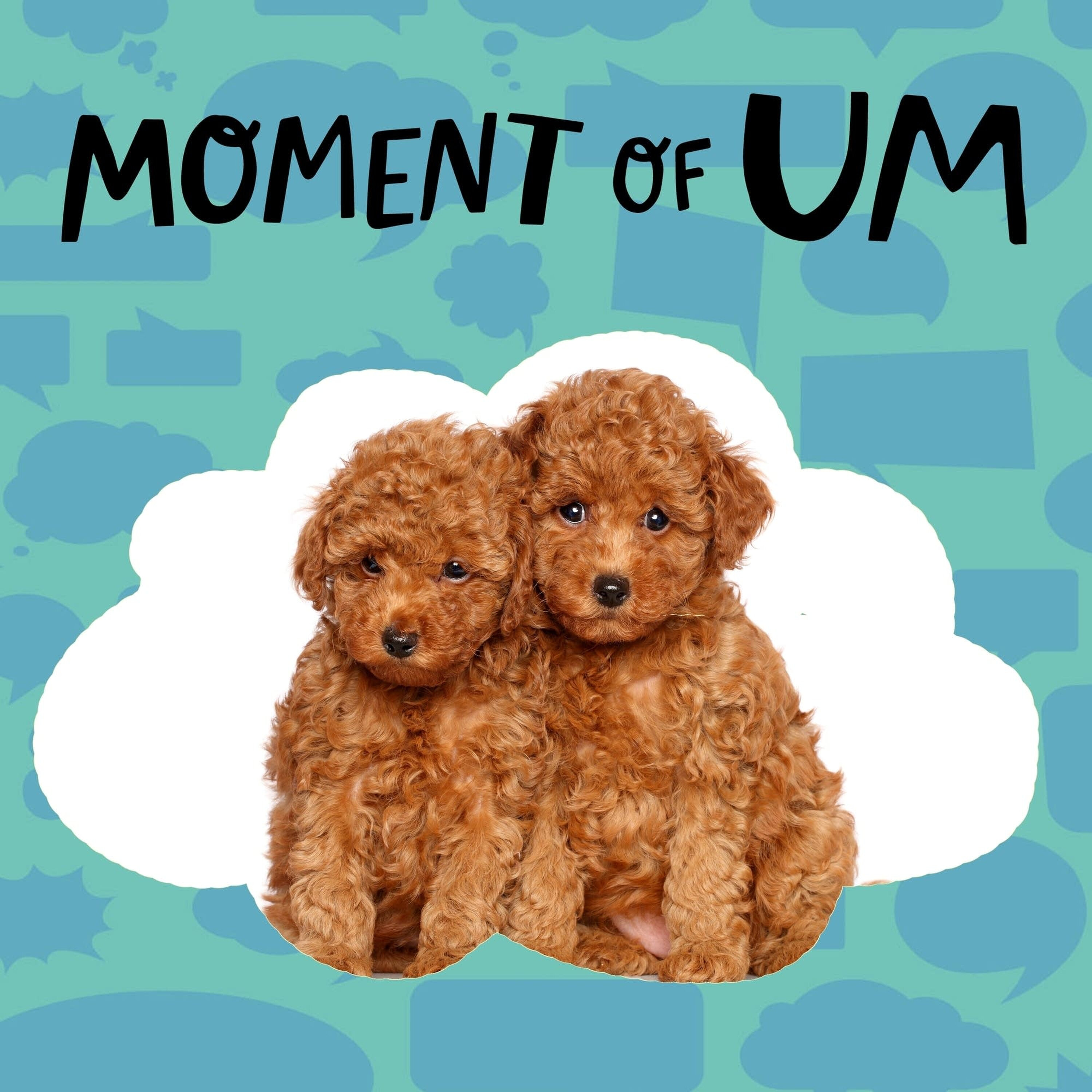 Do dogs remember when they were puppies?