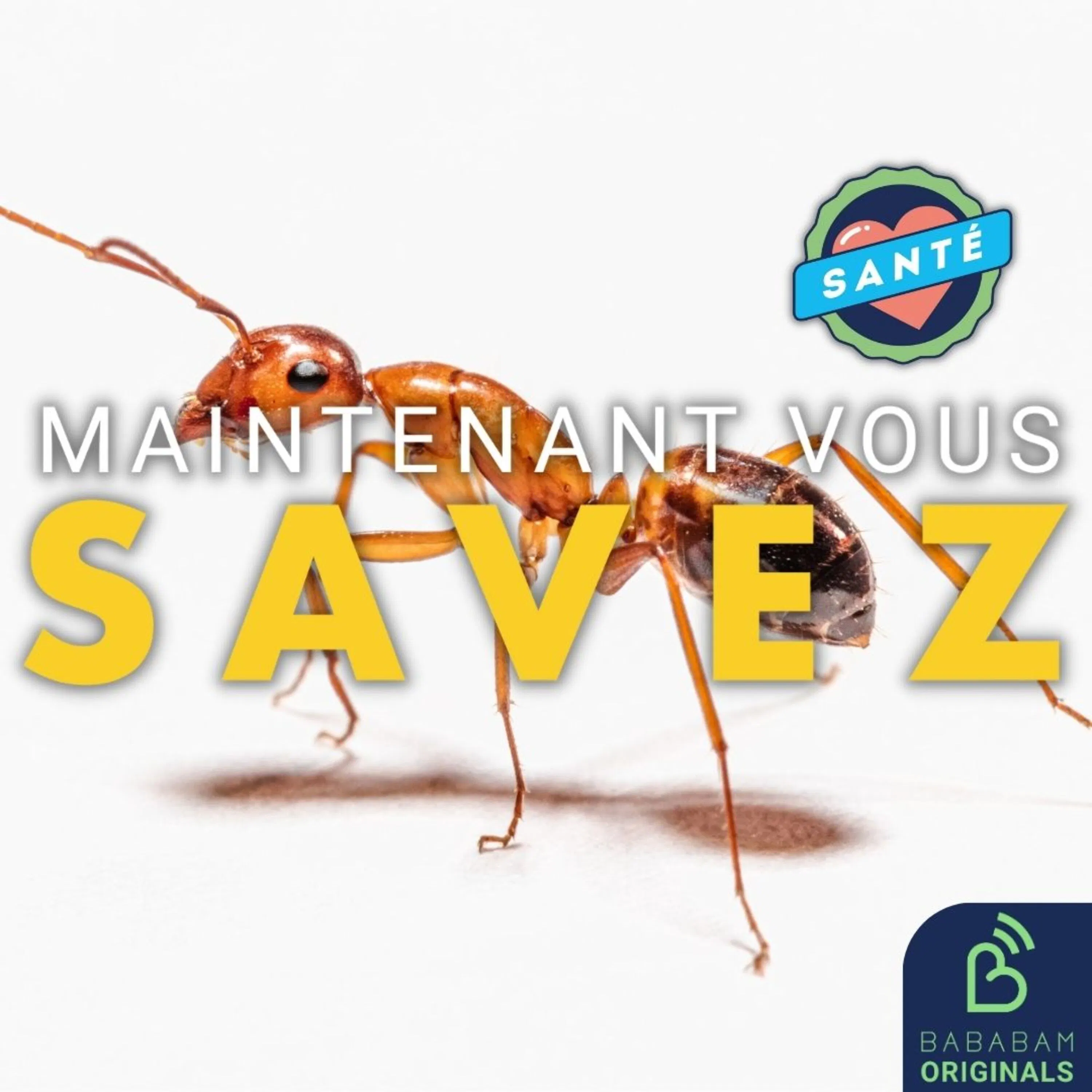 Pourquoi a-t-on des fourmis dans les mains ou dans les jambes ?