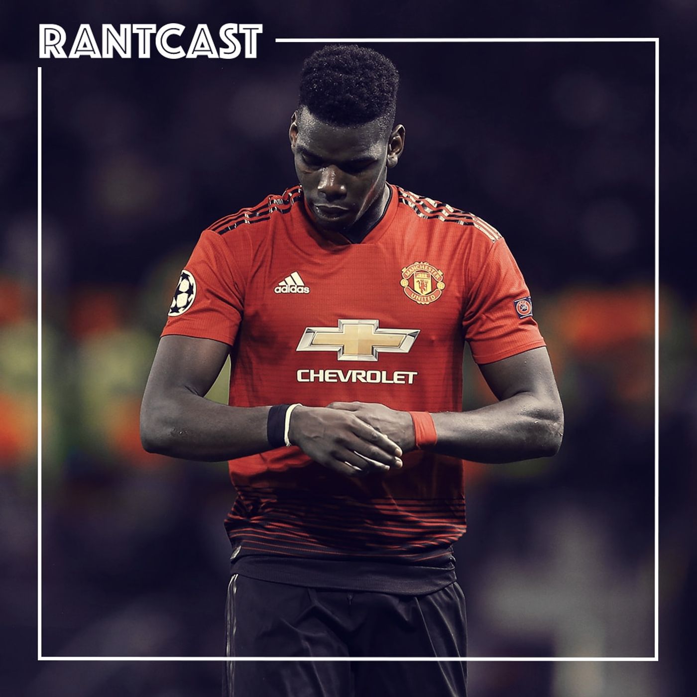 The Perspective Edition