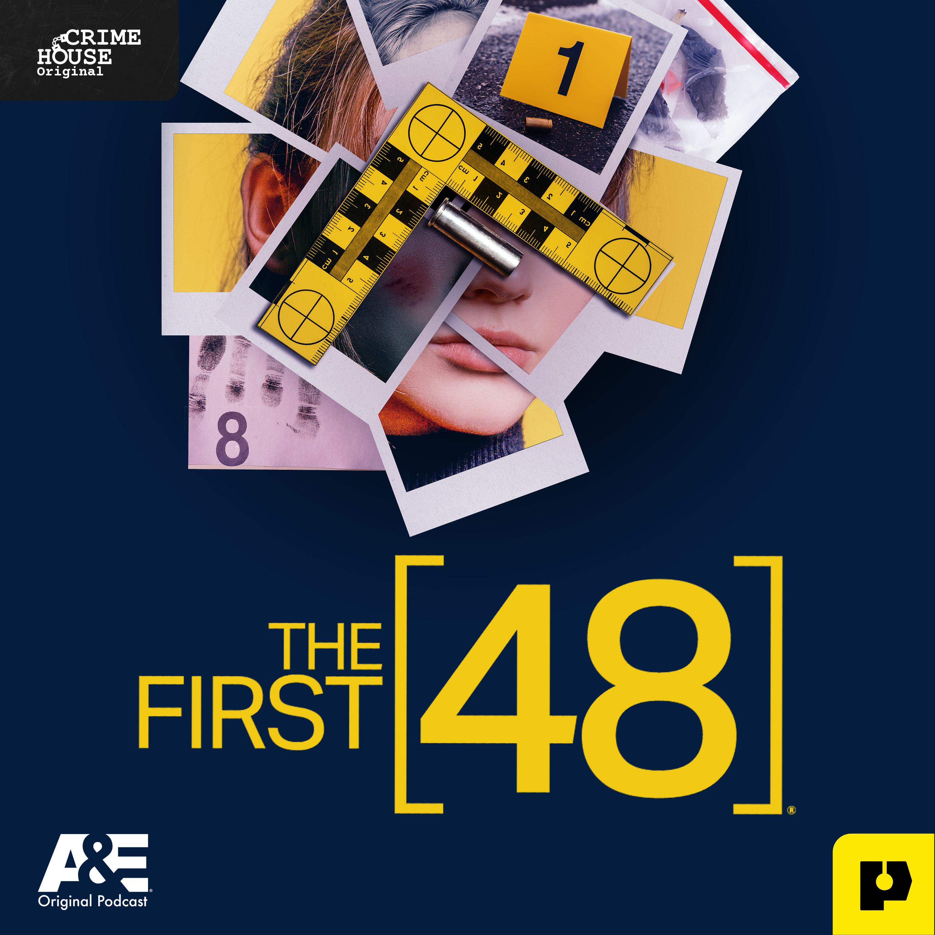 Introducing: The First 48 | From Crime House and A&E episode artwork