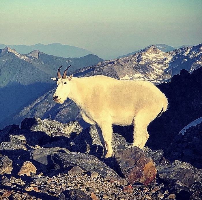 #02: North Cascades National Park: Glaciers and Boulders and Scree Oh My!