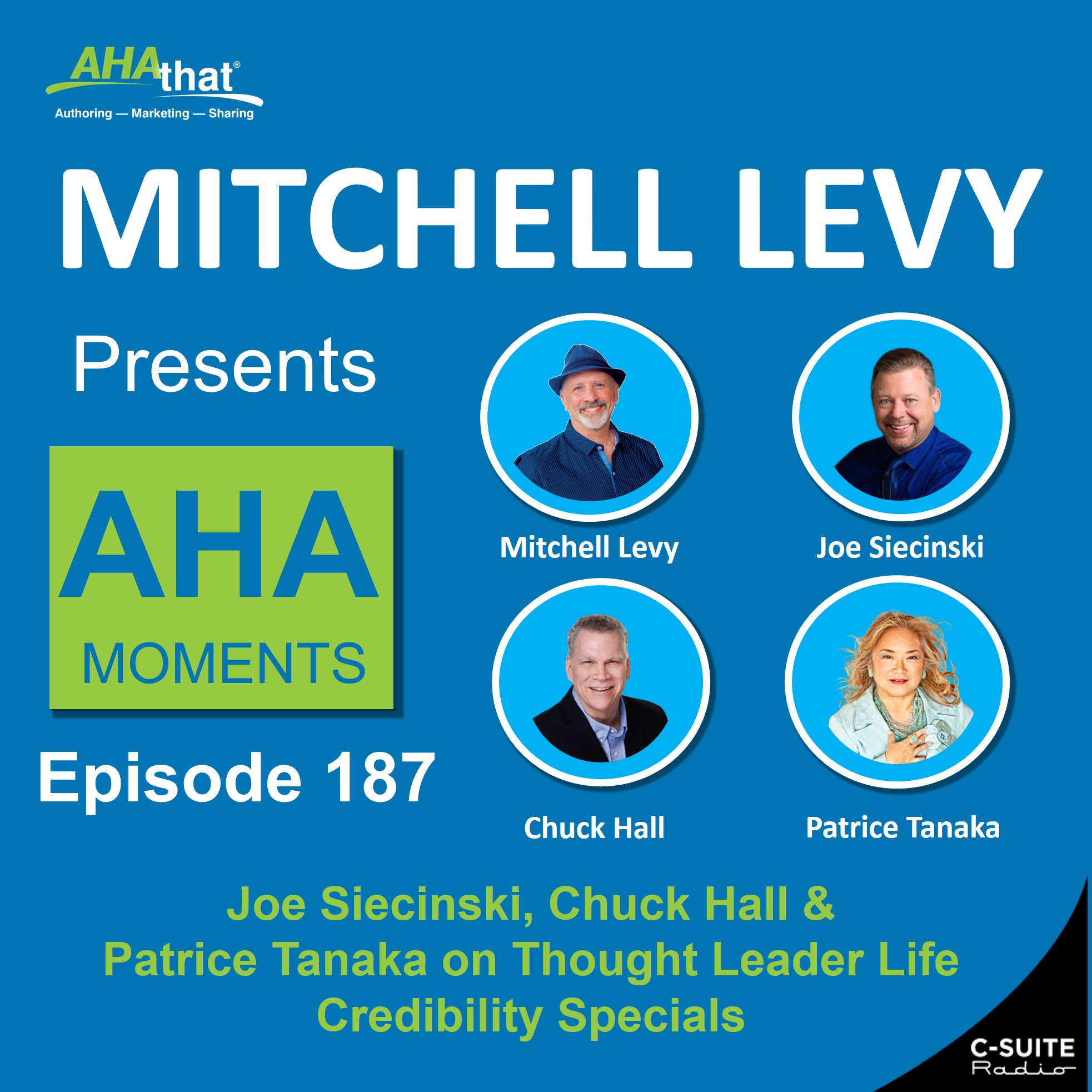 Mitchell Levy Presents AHA Moments