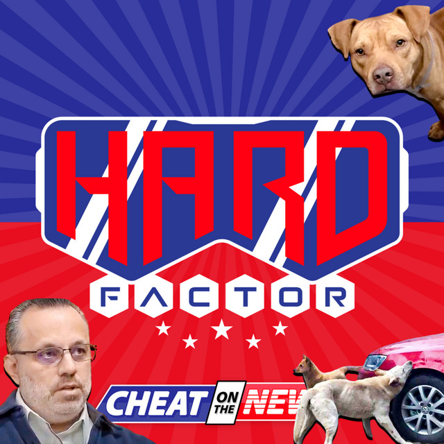 stray dogs cause $350k in damage at car dealership | 1.8.24