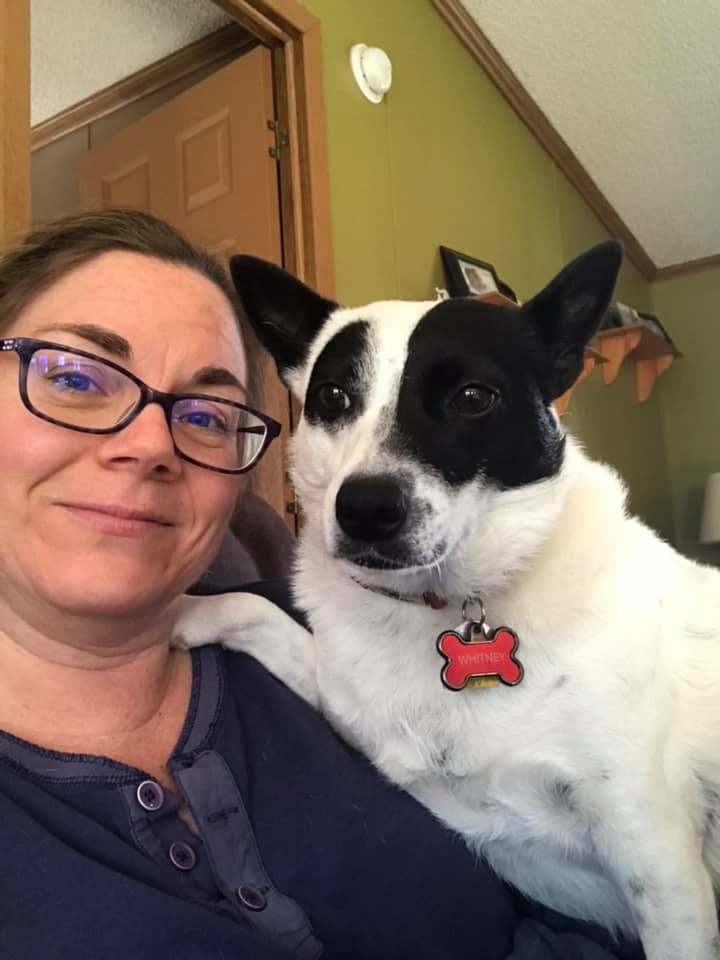 Set Lusting Bruce: The Bruce Springsteen Fan Podcast