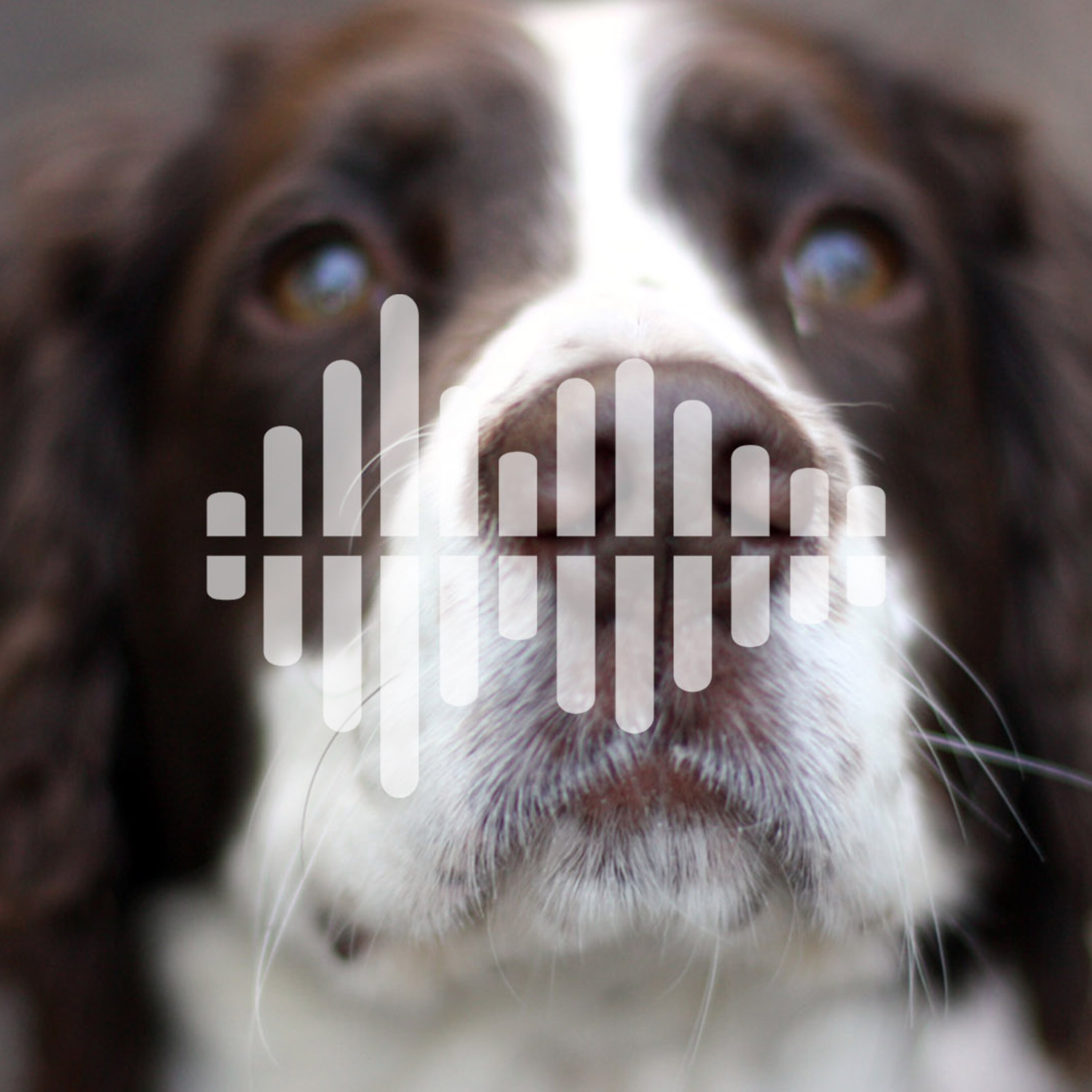 Dog noses detect heat, the world faces coronavirus, and scientists search for extraterrestrial life