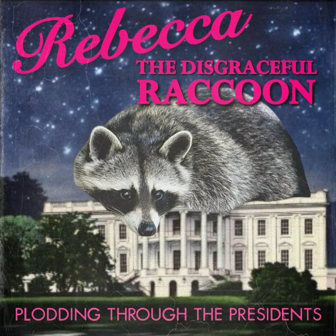 Plodding Through The Presidents