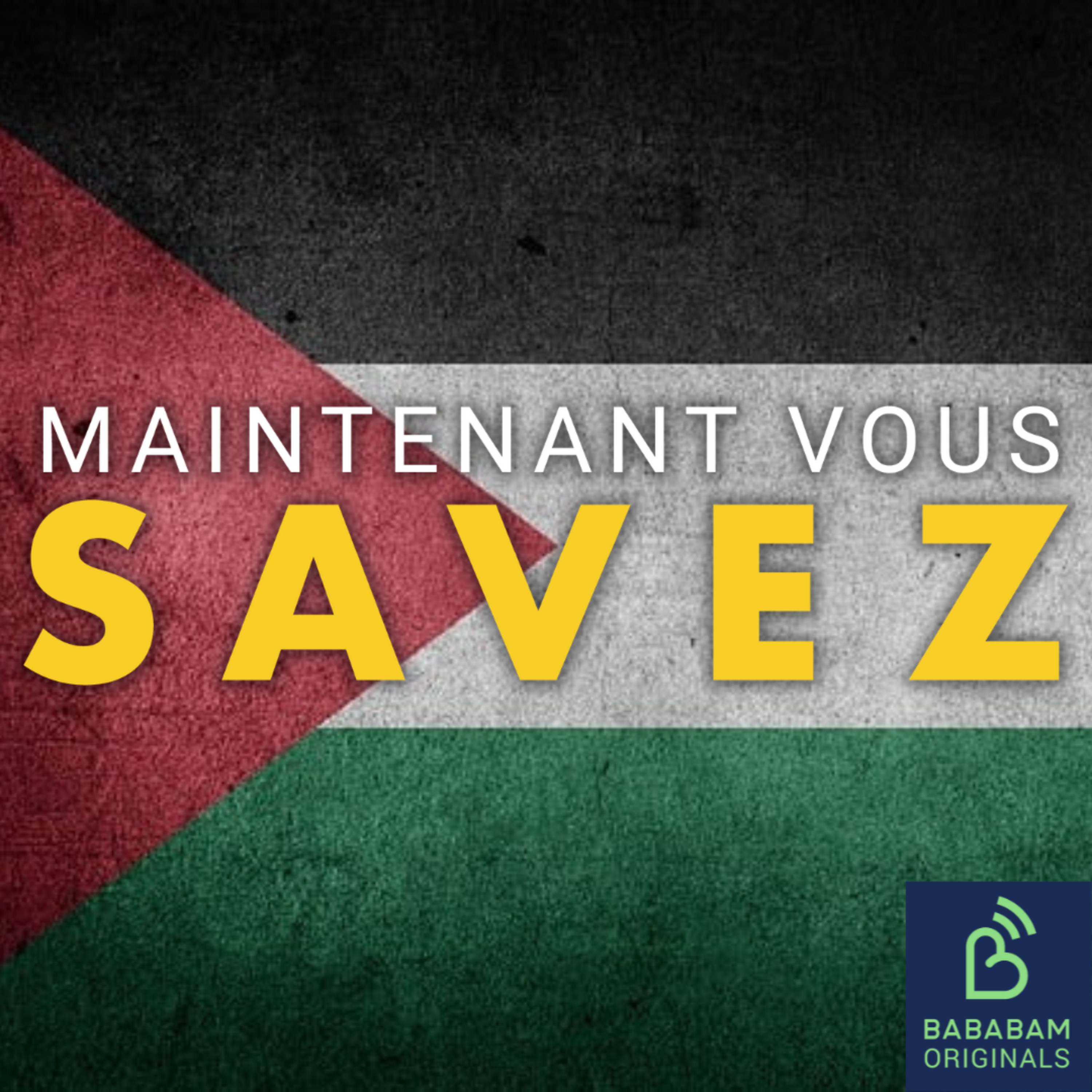 Que changerait la reconnaissance de la Palestine ?