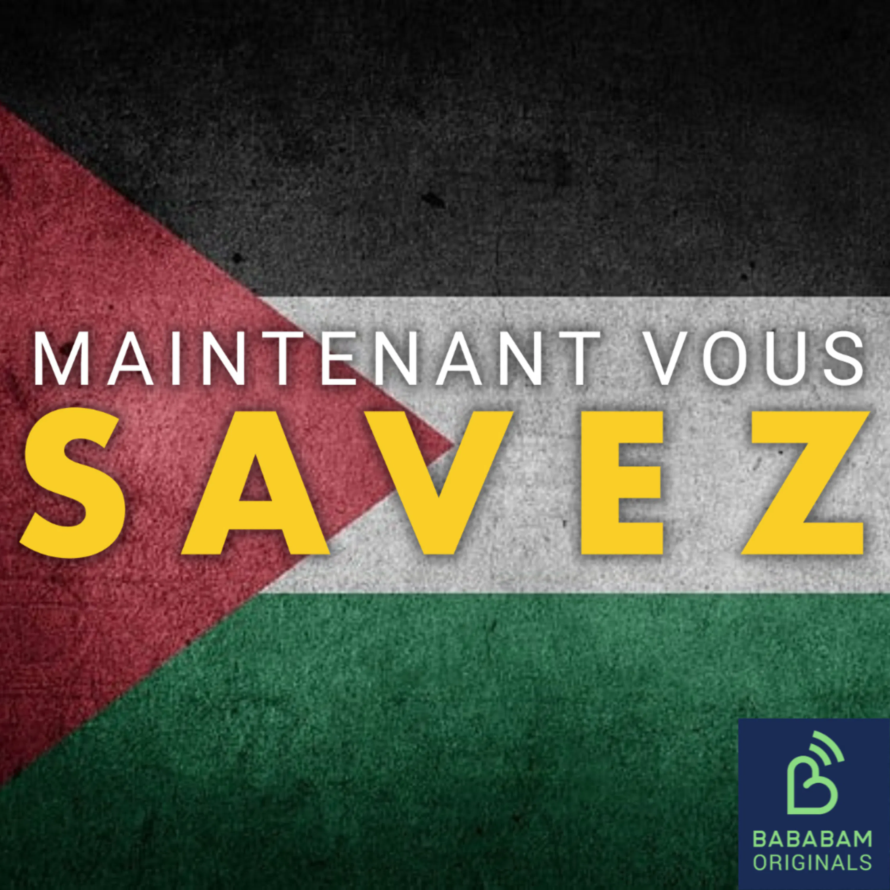 Que changerait la reconnaissance de la Palestine ?