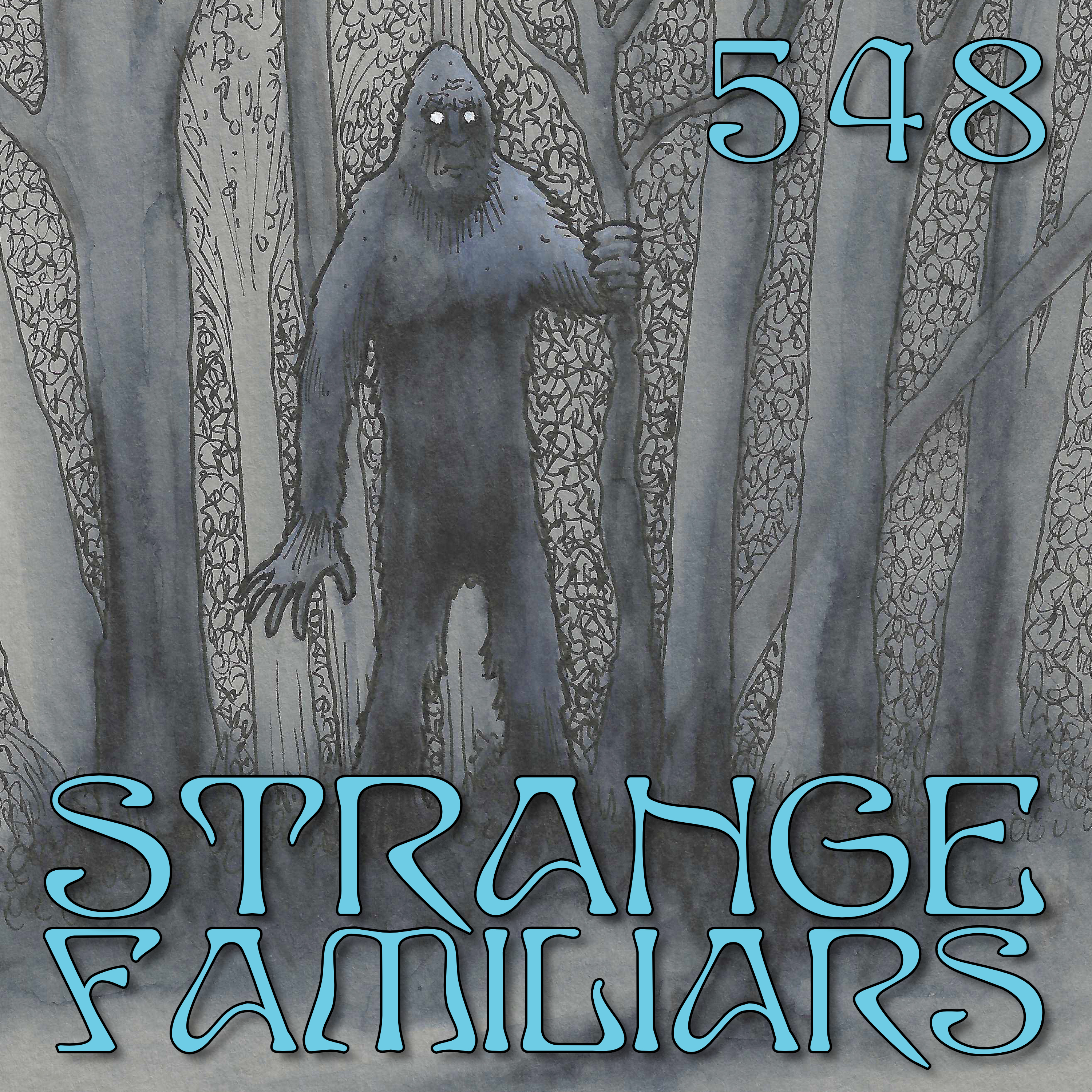 A Disembodied Whisper and Other Strangeness