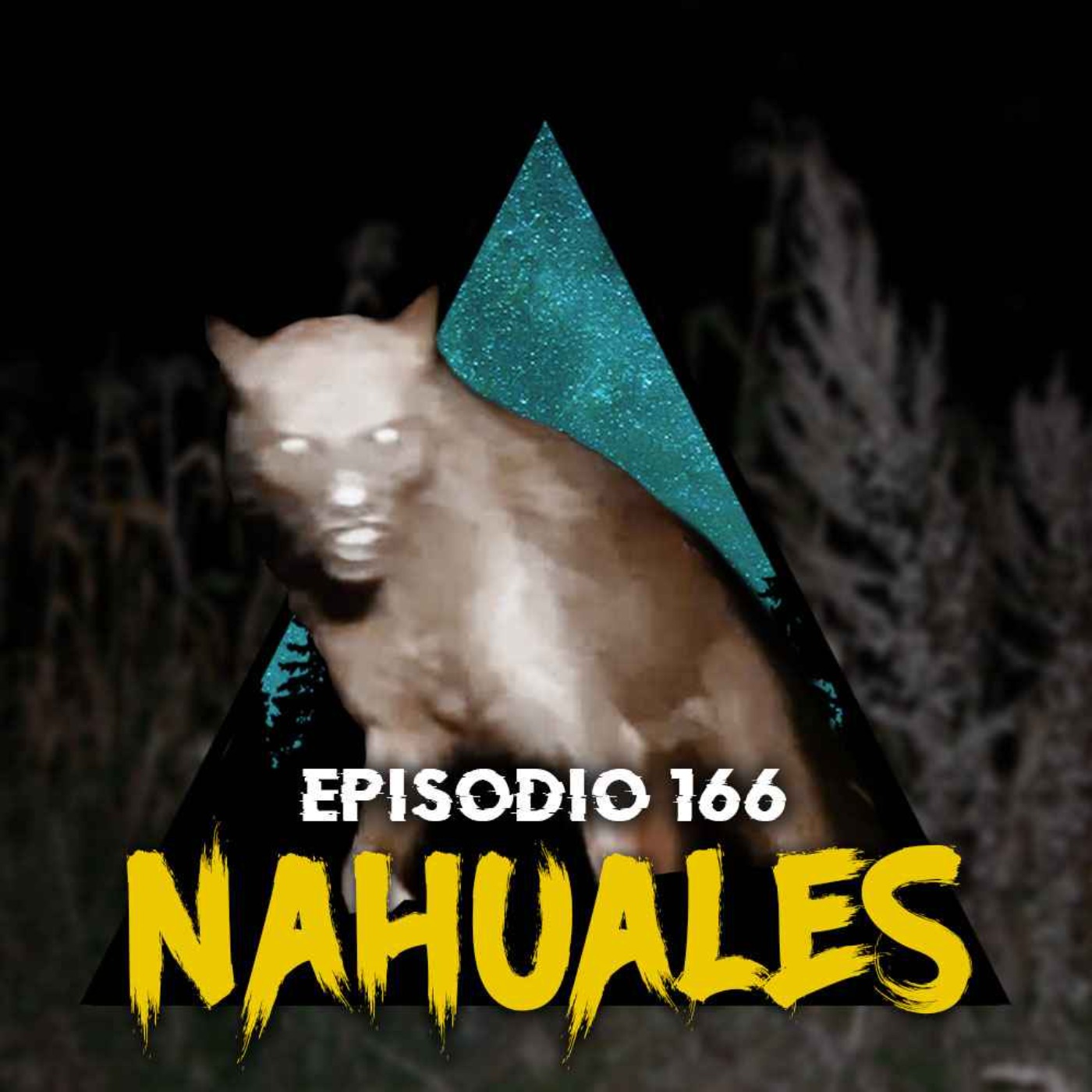#166: Historias reales de NAHUALES para escuchar de noche