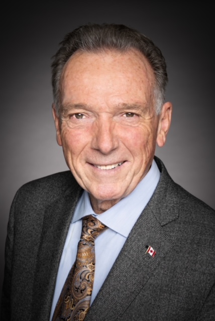 Peter Kent, Journalist/Politician