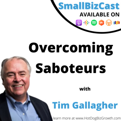 44 - Overcoming Saboteurs | Tim Gallagher, 101BusinessCoach.com episode artwork