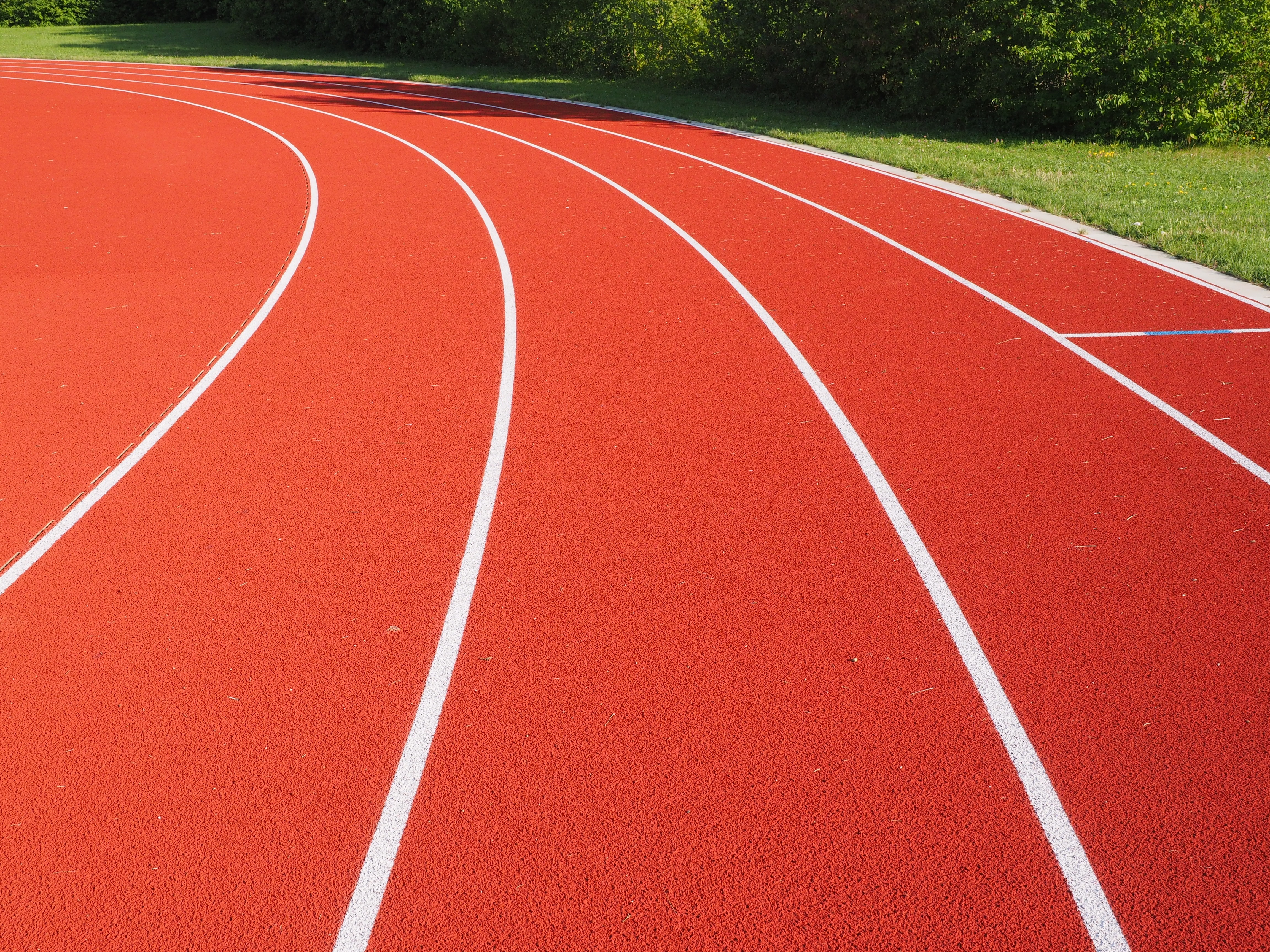 Sesc Verão 2026 oferece mais de mil atividades esportivas gratuitas em São Paulo episode artwork