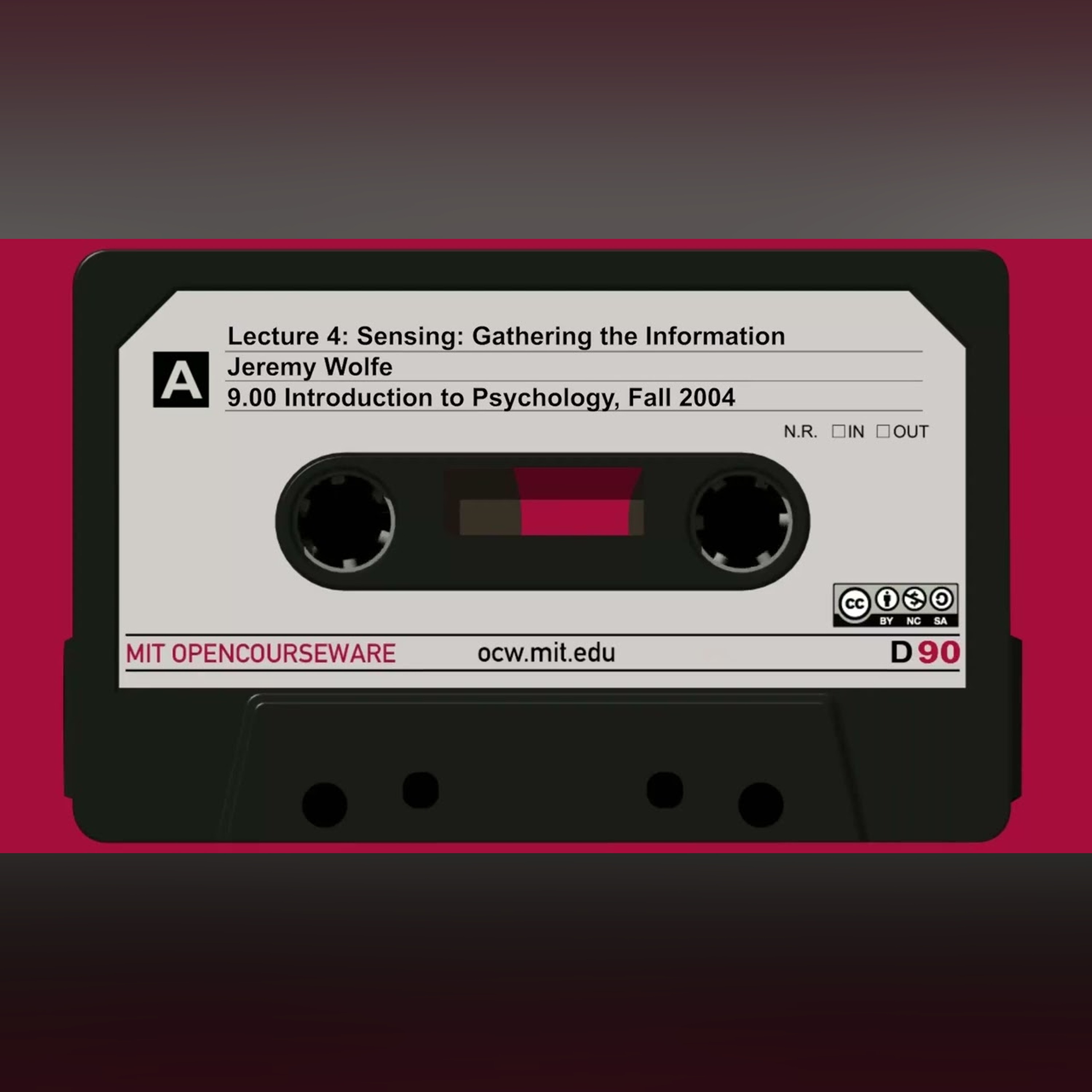 4. Sensing: Gathering the Information (audio only)