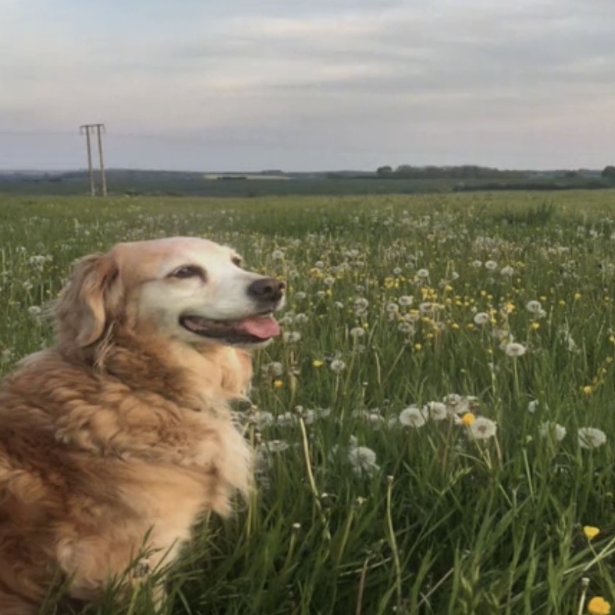 the tanning booth with tannertan36