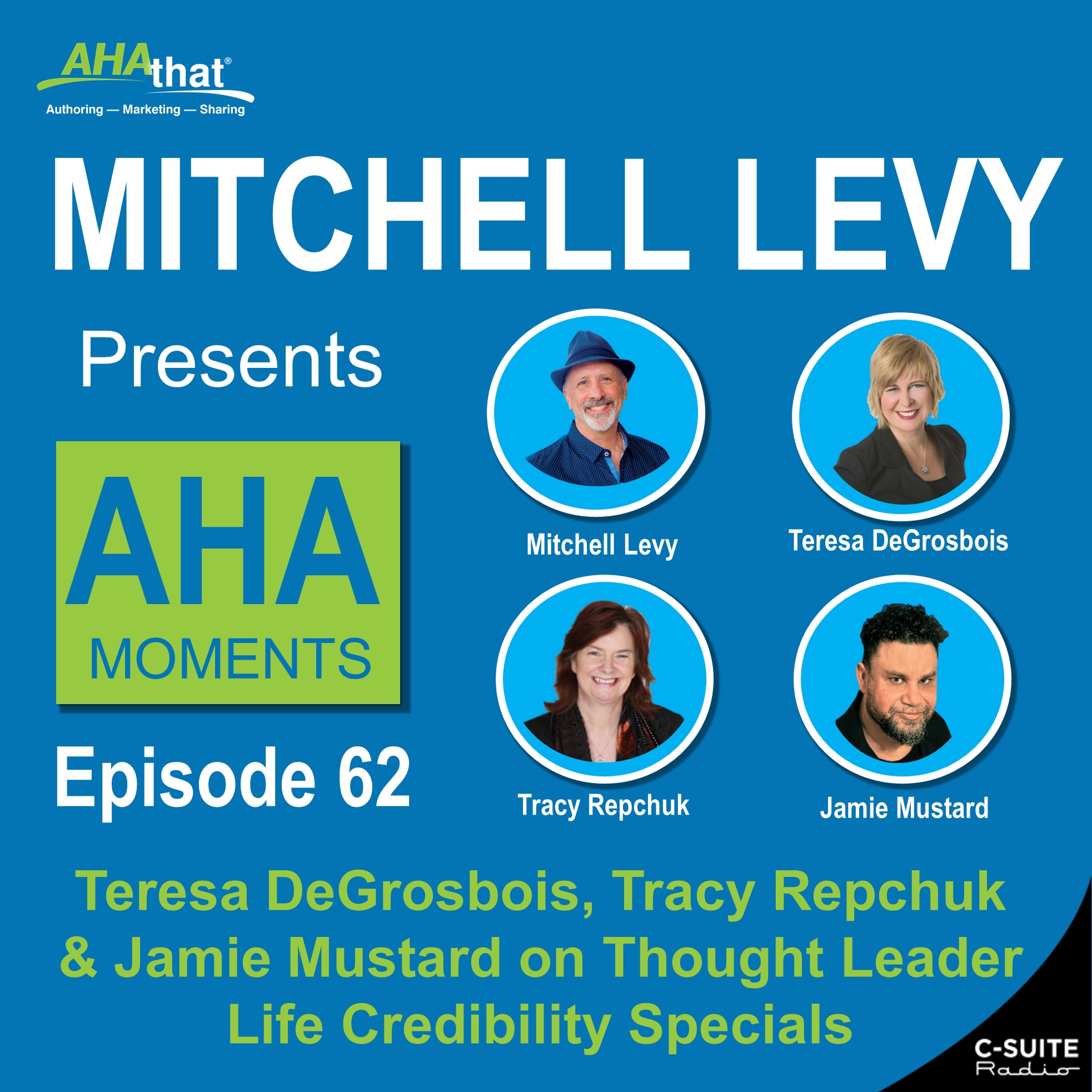 Mitchell Levy Presents AHA Moments