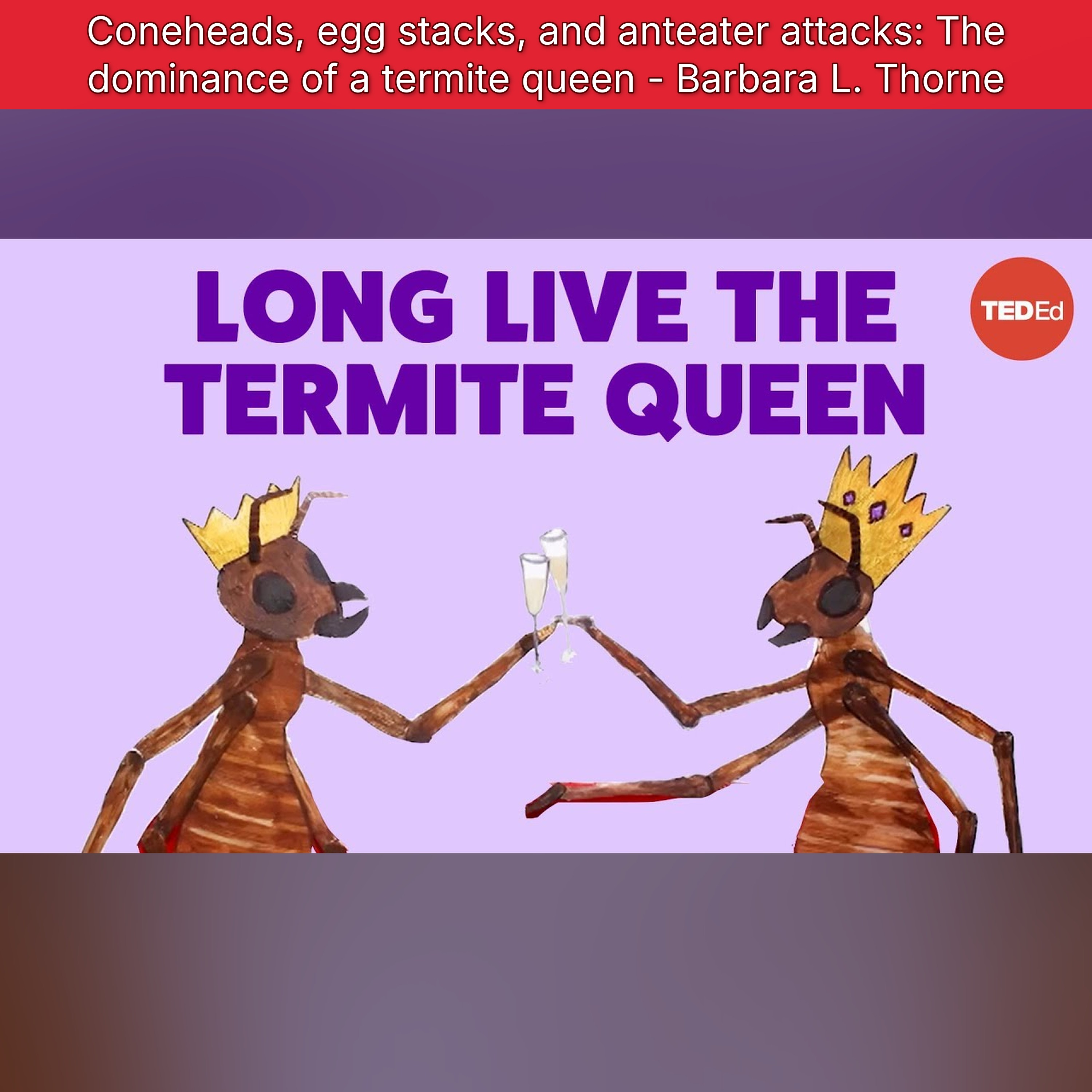Coneheads, egg stacks, and anteater attacks: The dominance of a termite queen - Barbara L. Thorne episode artwork