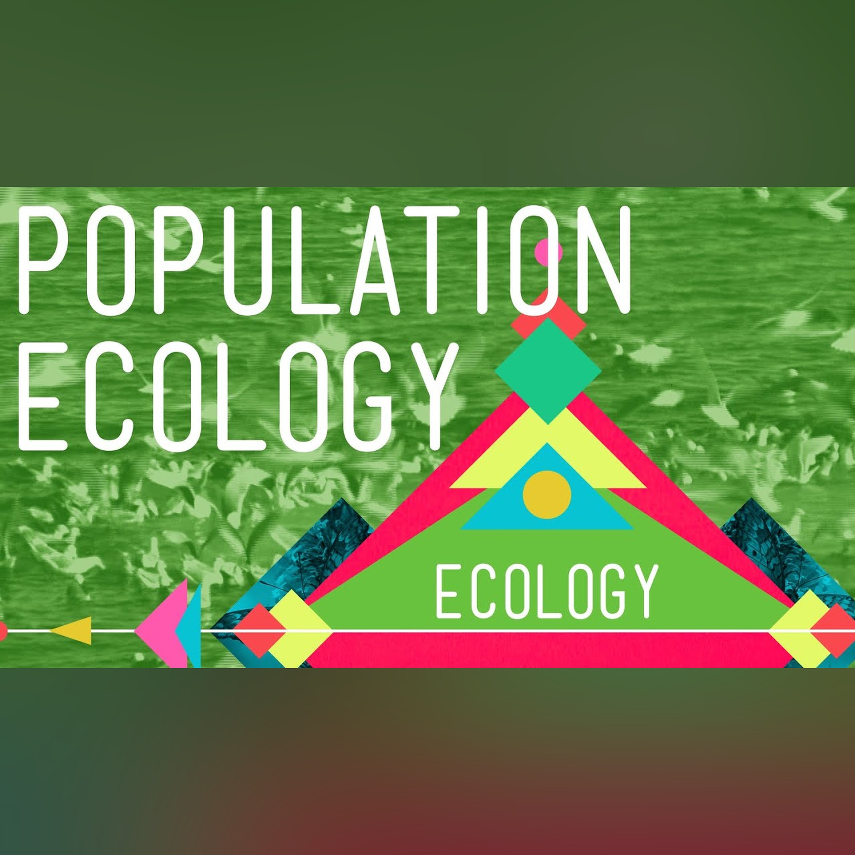 Population Ecology: The Texas Mosquito Mystery - Crash Course Ecology #2