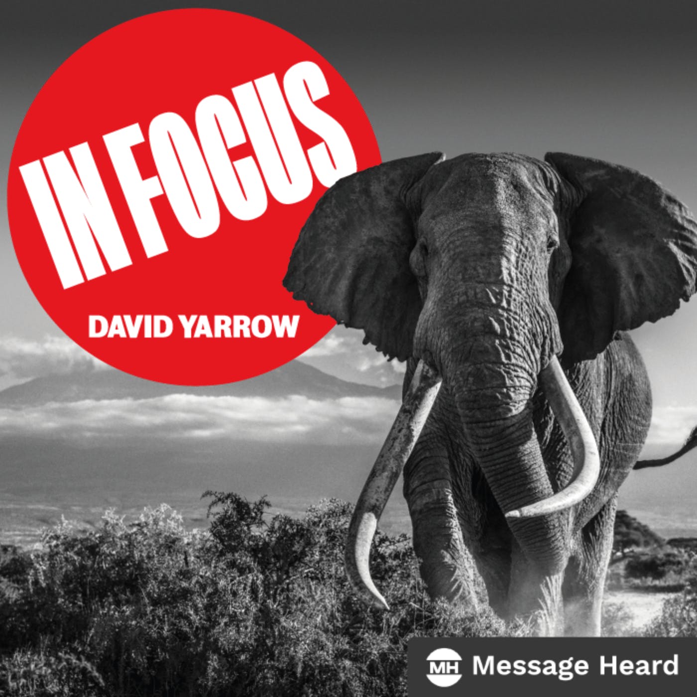 Trailer: In Focus with David Yarrow