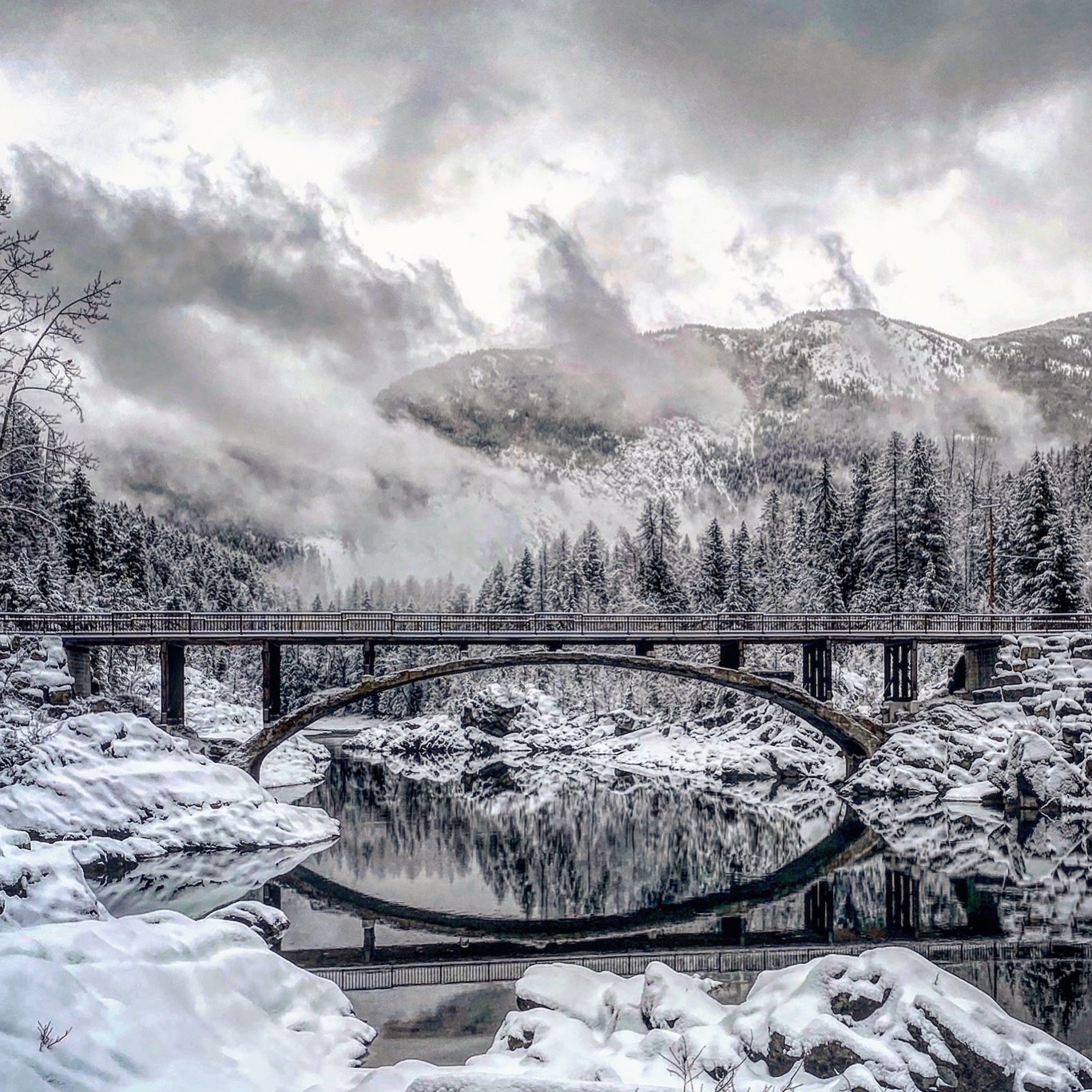 #18: Winter in Yellowstone and Glacier National Parks